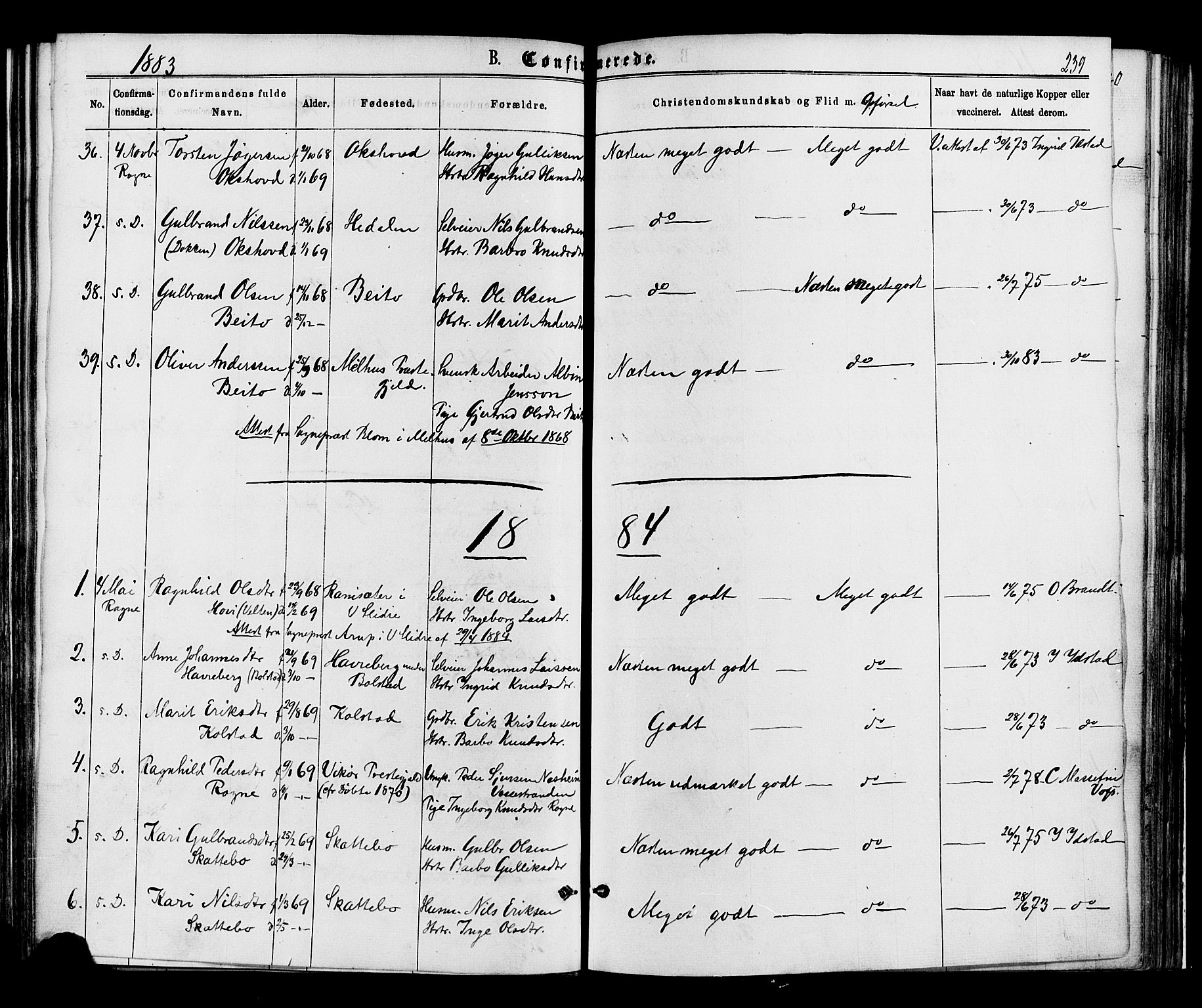 Øystre Slidre prestekontor, SAH/PREST-138/H/Ha/Haa/L0002: Parish register (official) no. 2, 1874-1886, p. 239