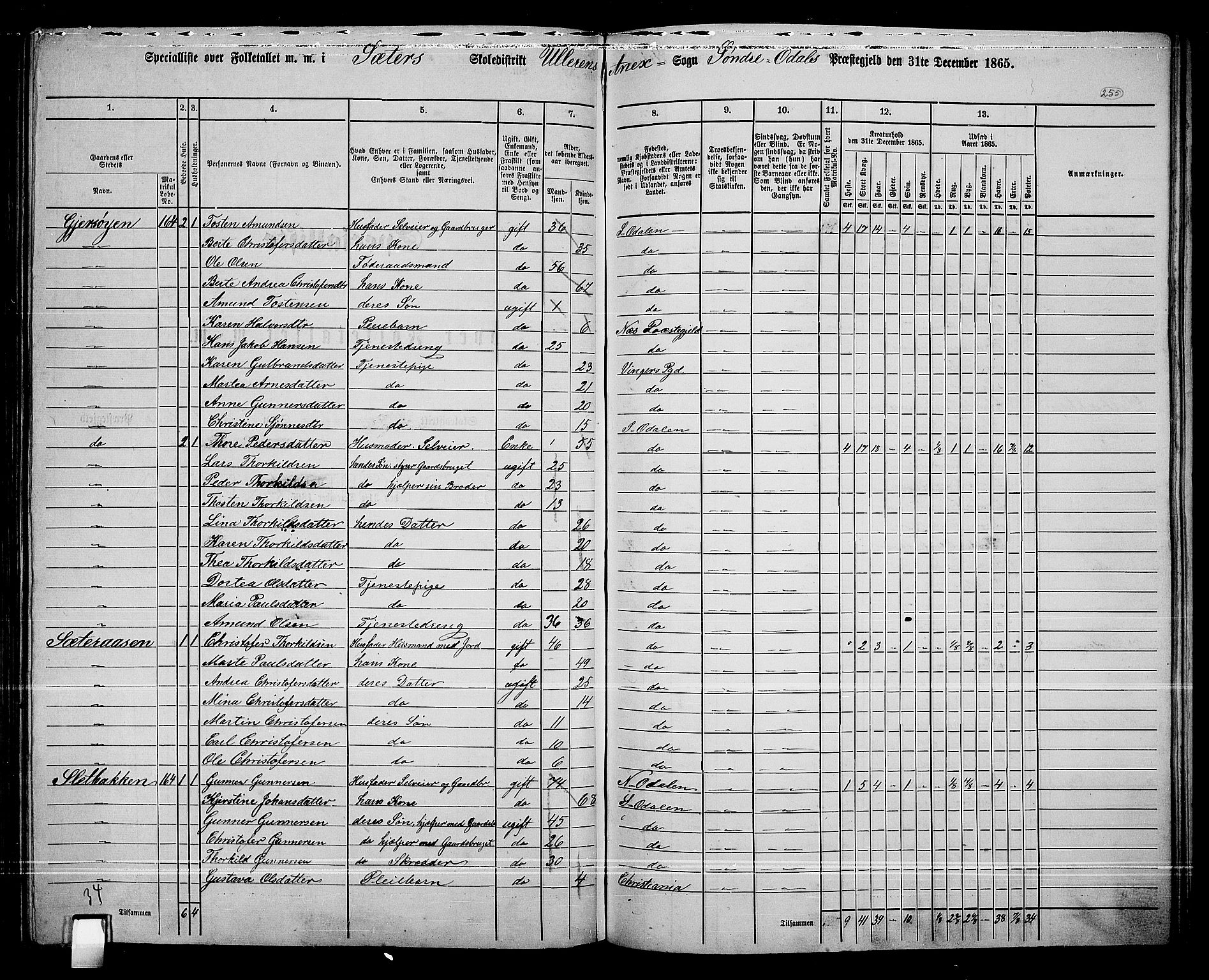 RA, 1865 census for Sør-Odal, 1865, p. 225