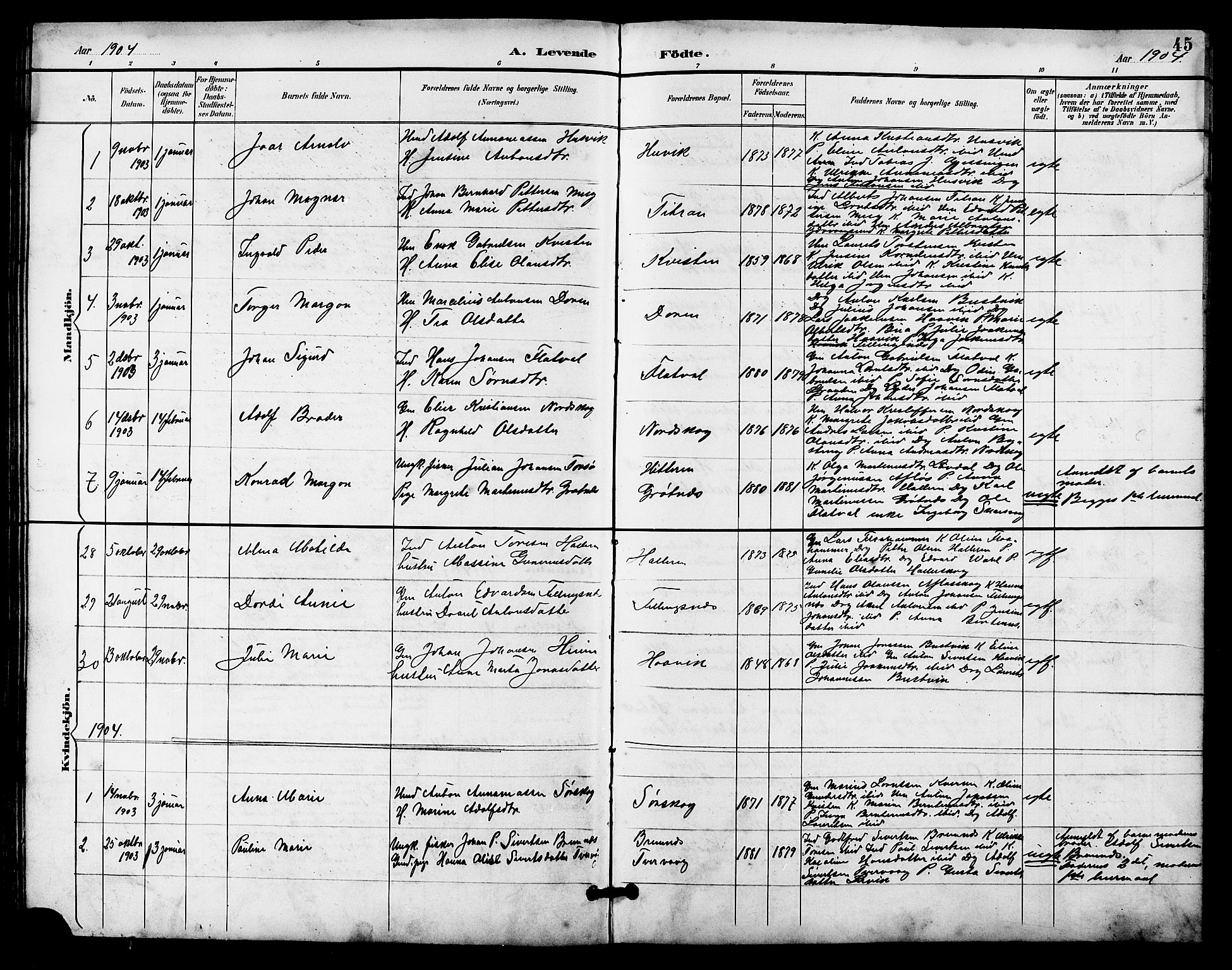 Ministerialprotokoller, klokkerbøker og fødselsregistre - Sør-Trøndelag, AV/SAT-A-1456/641/L0598: Parish register (copy) no. 641C02, 1893-1910, p. 45