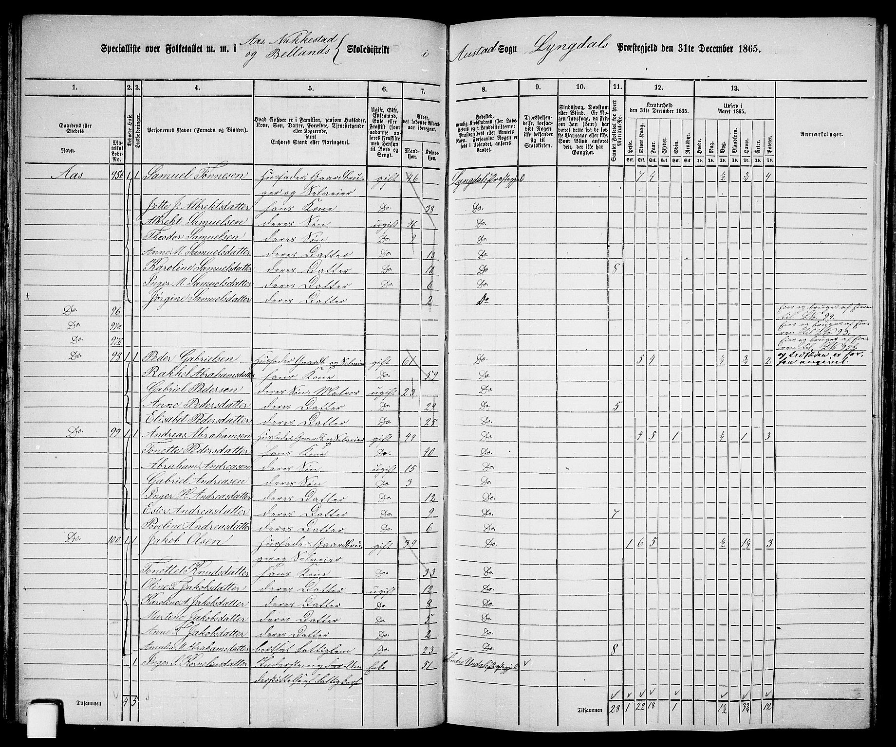 RA, 1865 census for Lyngdal, 1865, p. 60