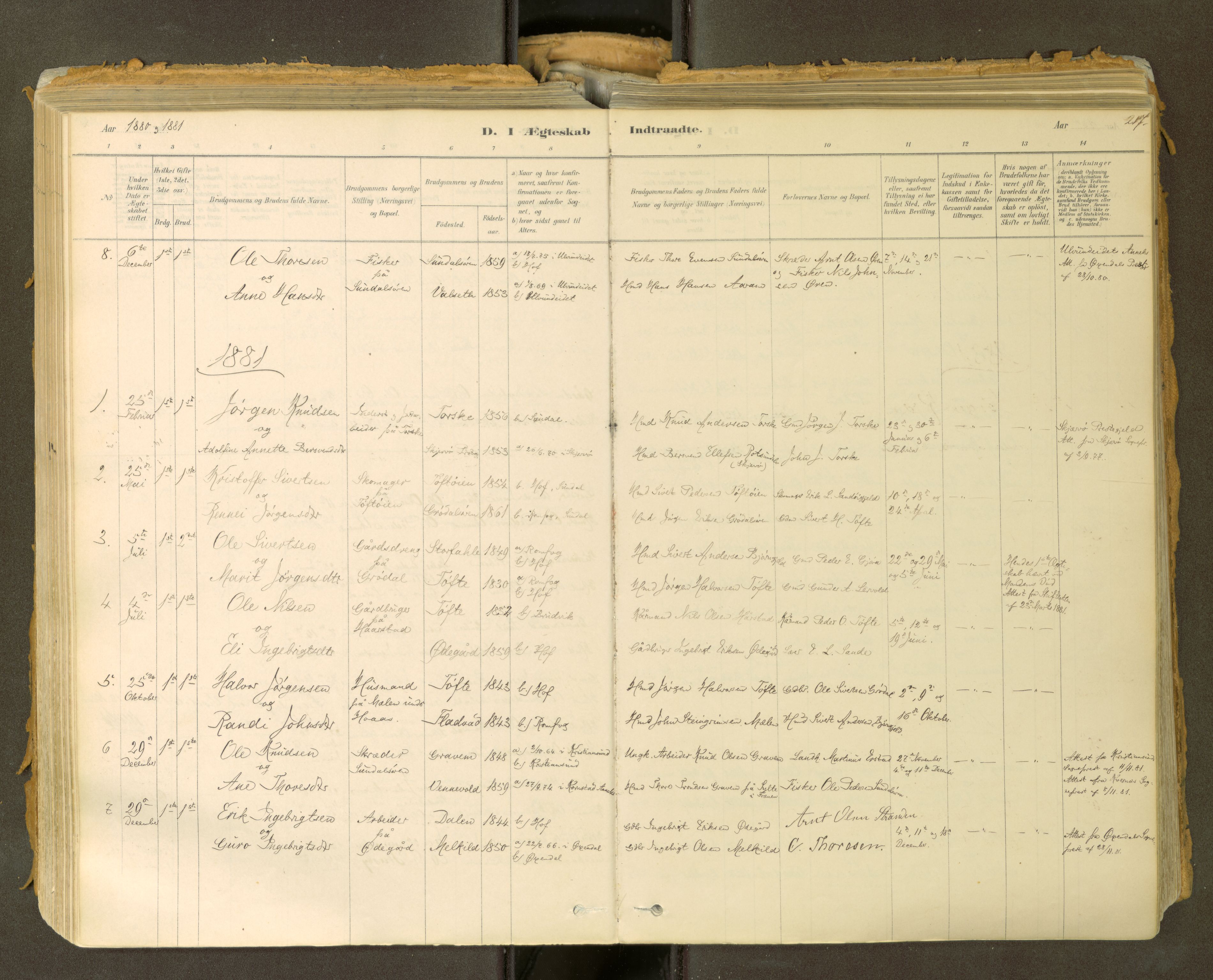 Sunndal sokneprestkontor, SAT/A-1085/1/I/I1/I1a: Parish register (official) no. 2, 1877-1914, p. 217