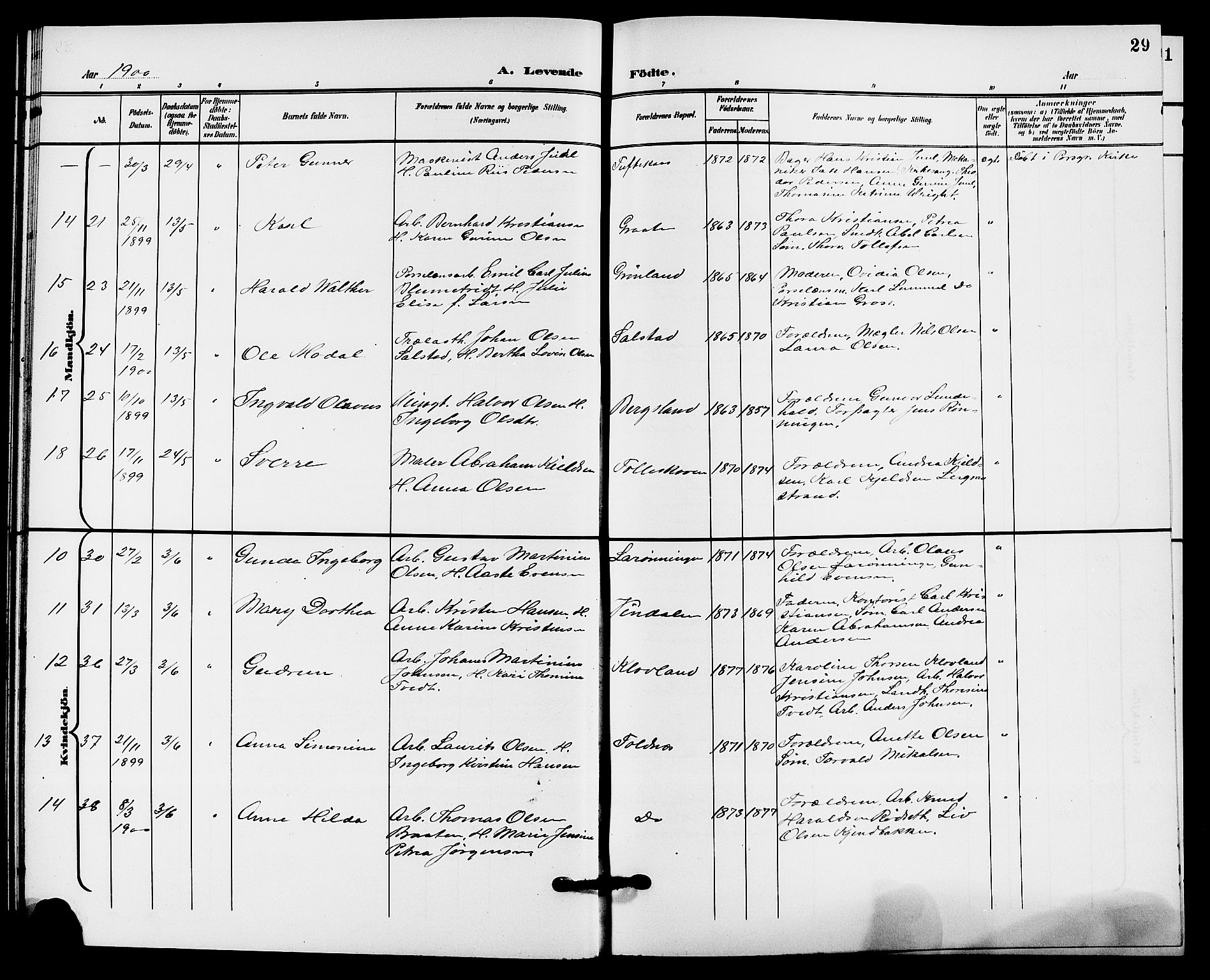 Solum kirkebøker, AV/SAKO-A-306/G/Ga/L0008: Parish register (copy) no. I 8, 1898-1909, p. 29