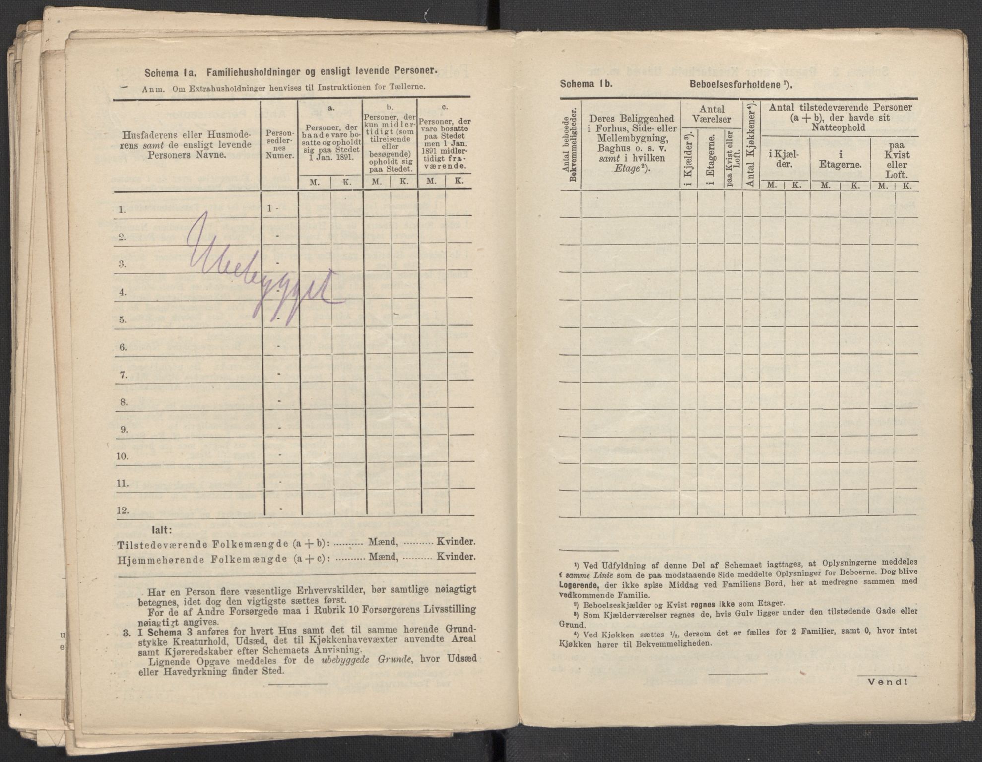 RA, 1891 Census for 1301 Bergen, 1891, p. 2302