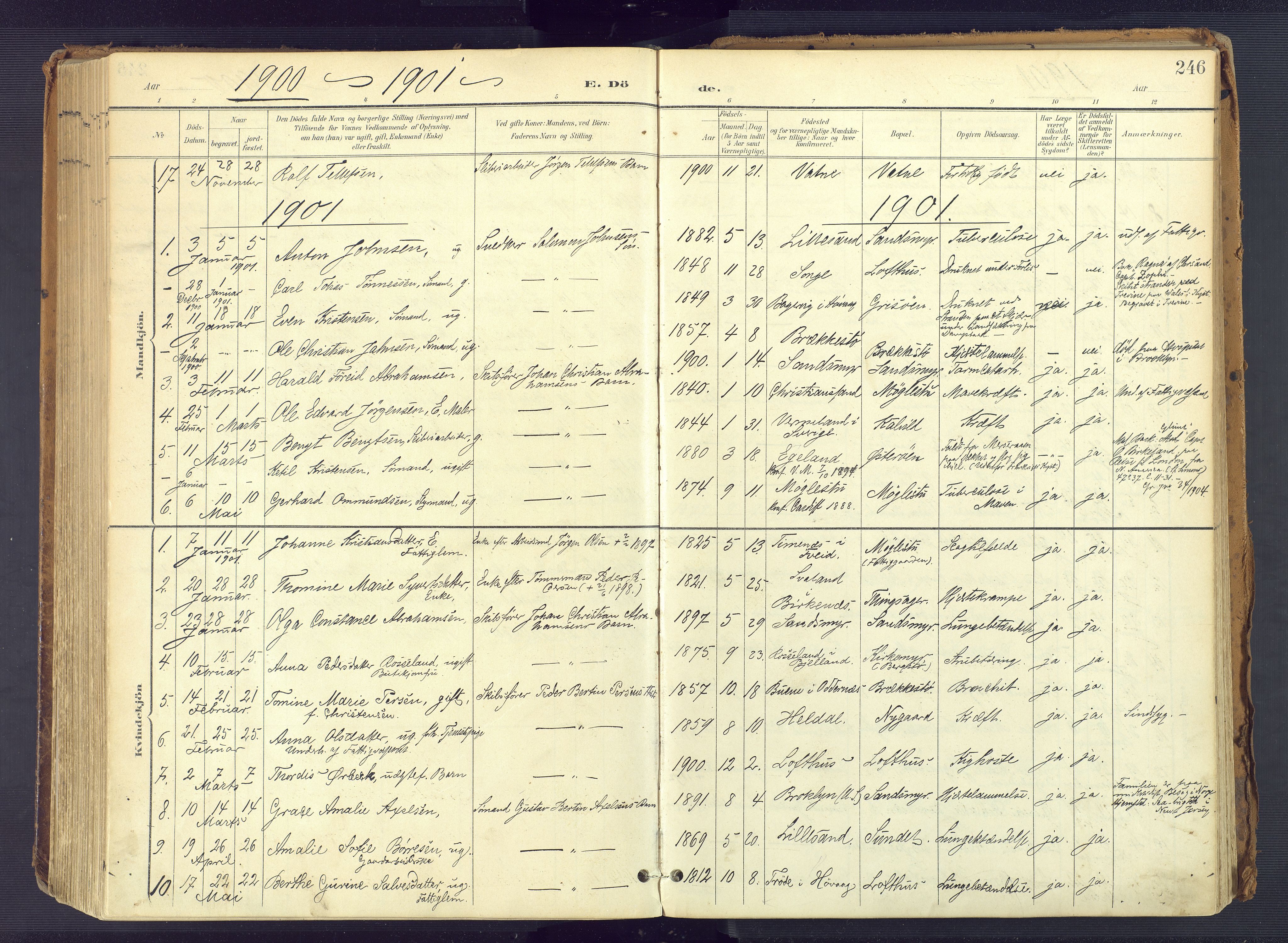 Vestre Moland sokneprestkontor, SAK/1111-0046/F/Fa/Fab/L0010: Parish register (official) no. A 10, 1900-1926, p. 246