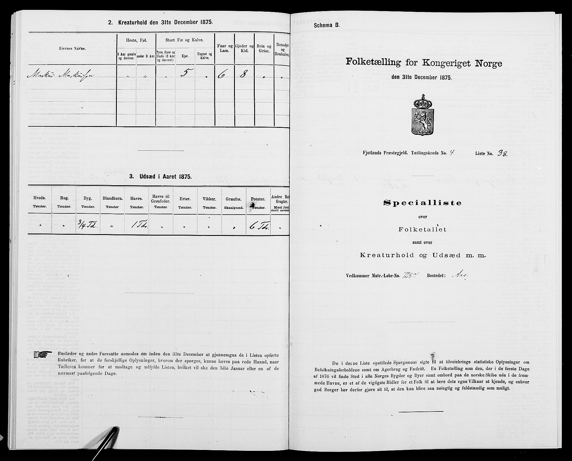 SAK, 1875 census for 1036P Fjotland, 1875, p. 291