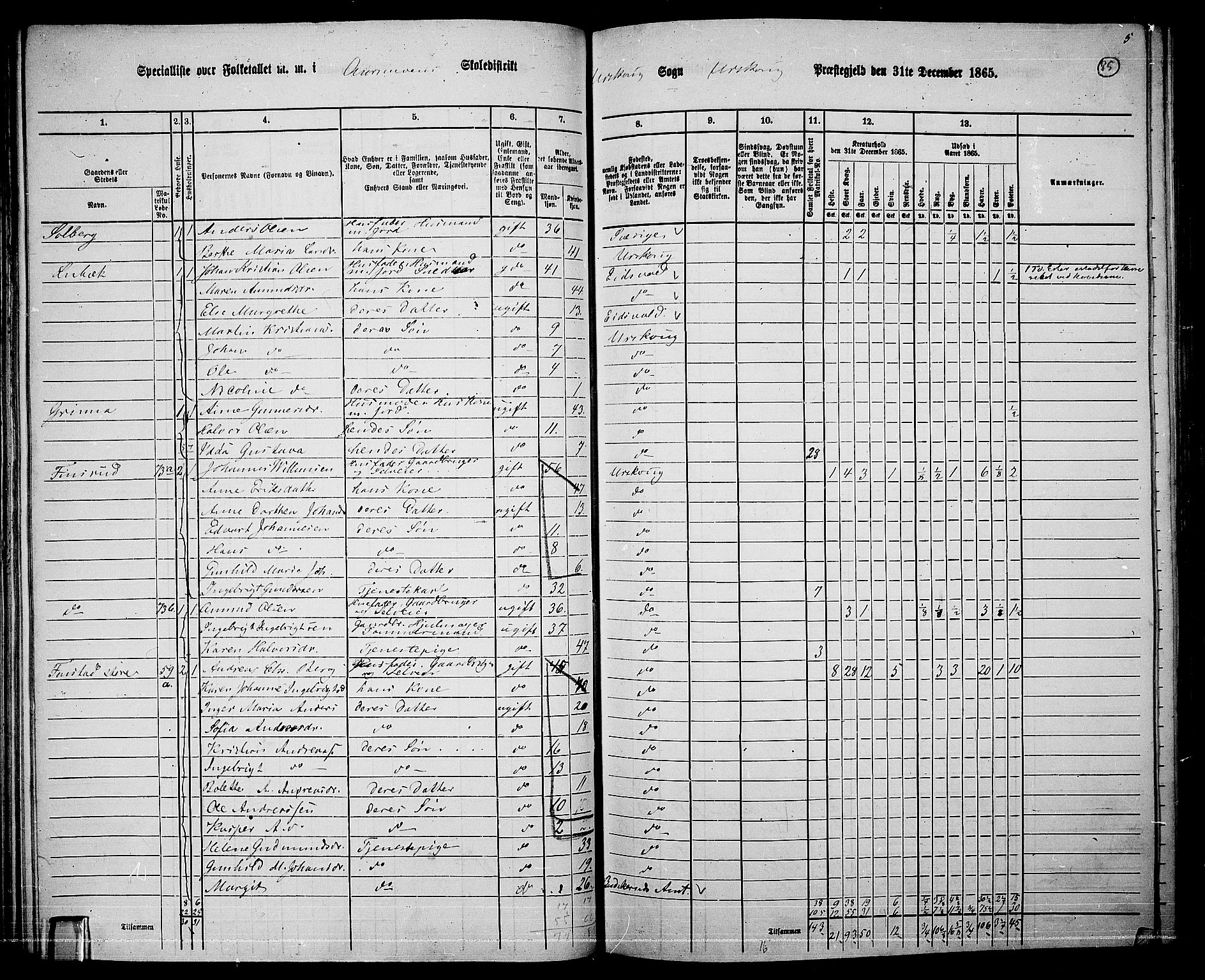 RA, 1865 census for Aurskog, 1865, p. 77