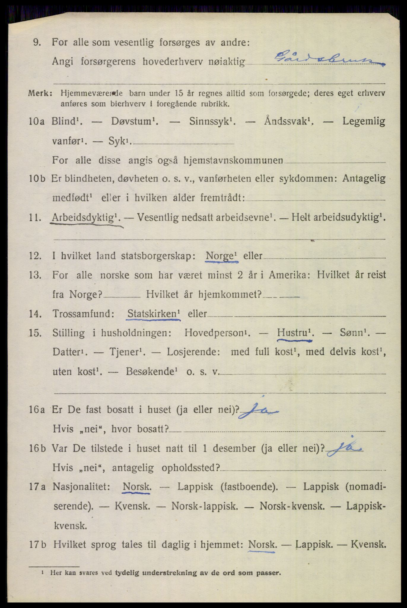 SAT, 1920 census for Saltdal, 1920, p. 8718