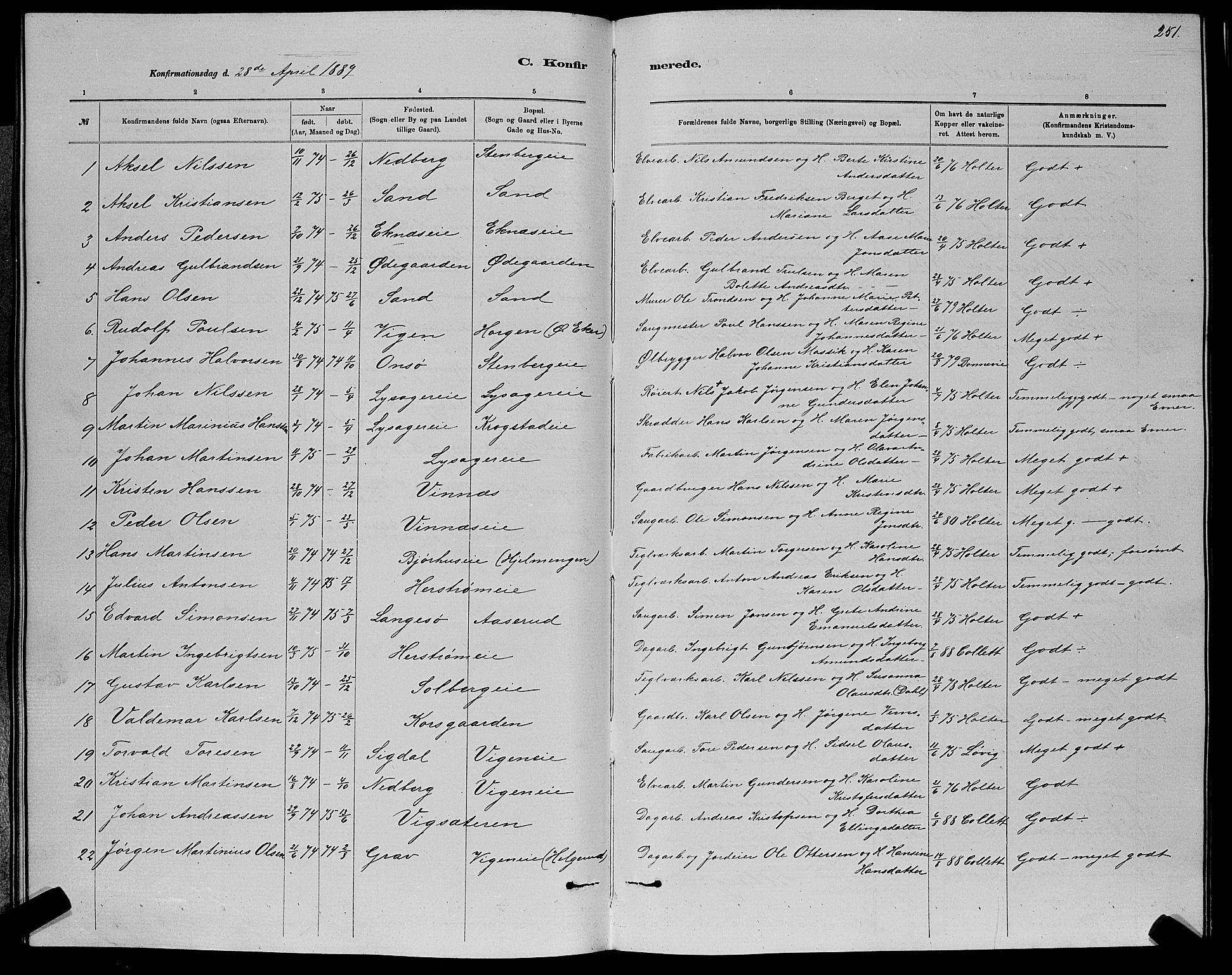 Nedre Eiker kirkebøker, AV/SAKO-A-612/G/Ga/L0002: Parish register (copy) no. 2, 1880-1896, p. 251