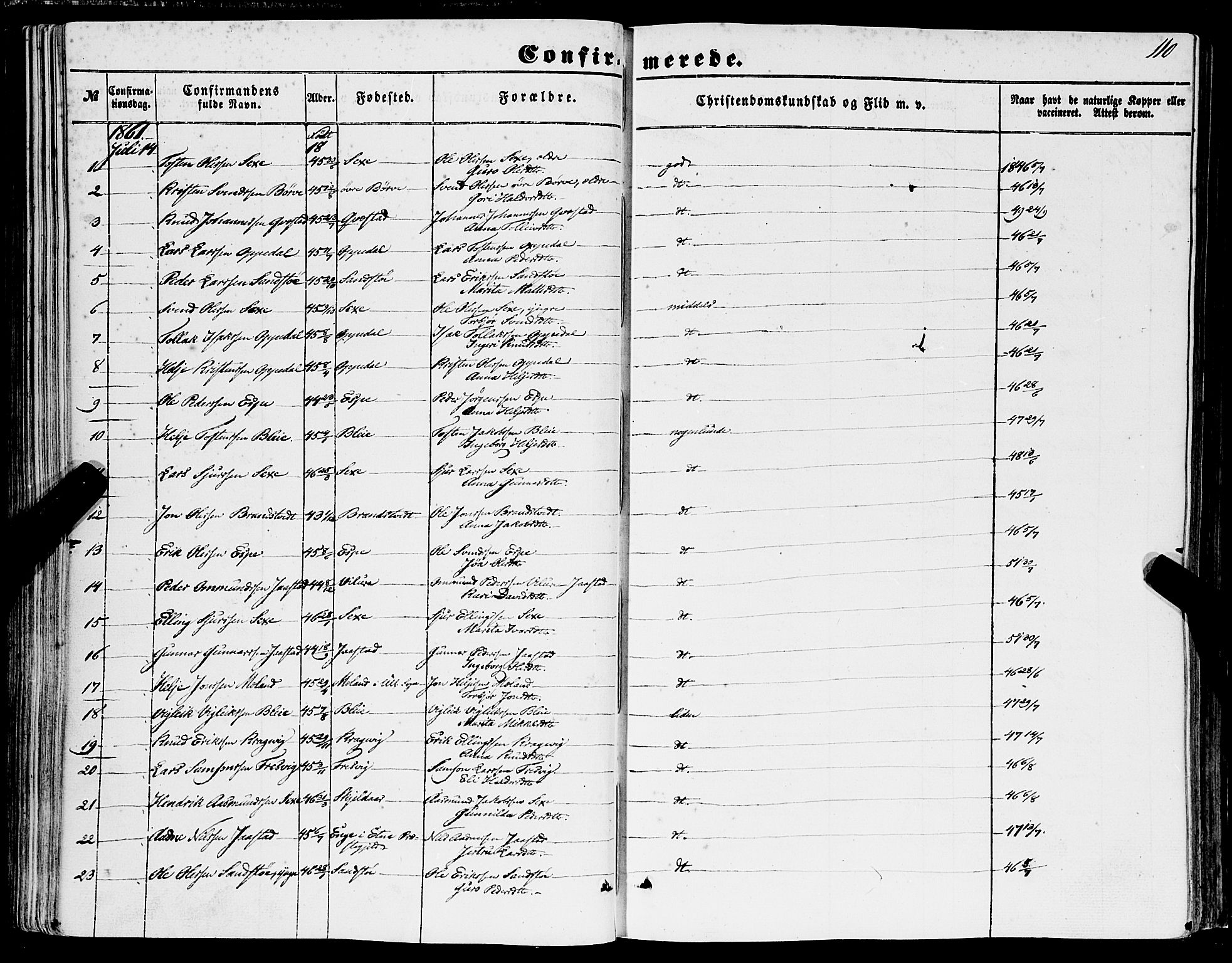 Ullensvang sokneprestembete, SAB/A-78701/H/Haa: Parish register (official) no. A 11, 1854-1866, p. 110