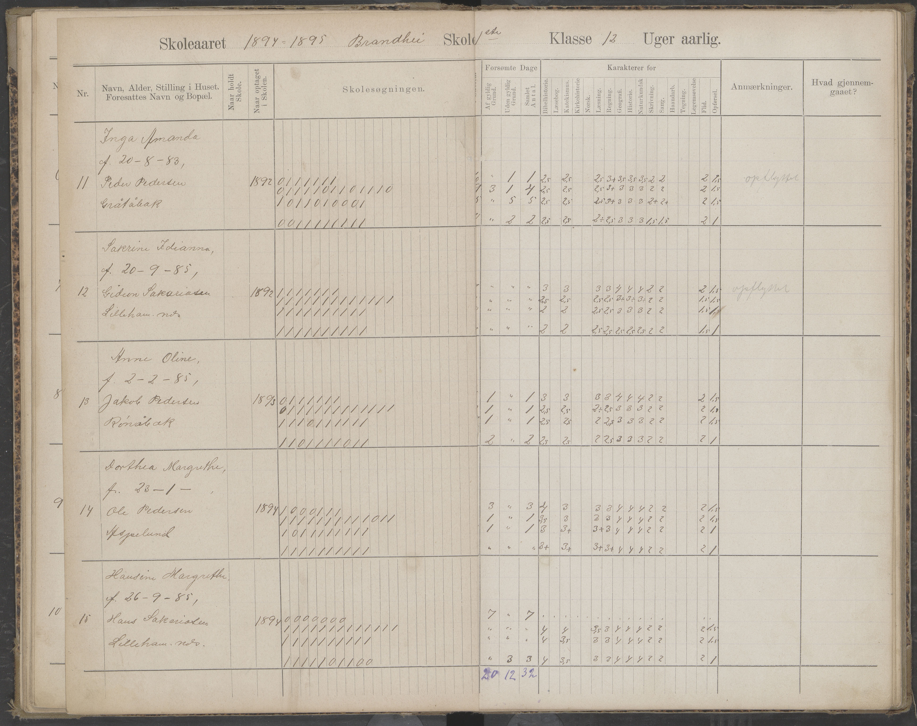 Beiarn kommune. Brandhei skolekrets, AIN/K-18390.510.03/442/L0003: Karakter/oversiktsprotokoll, 1893-1910