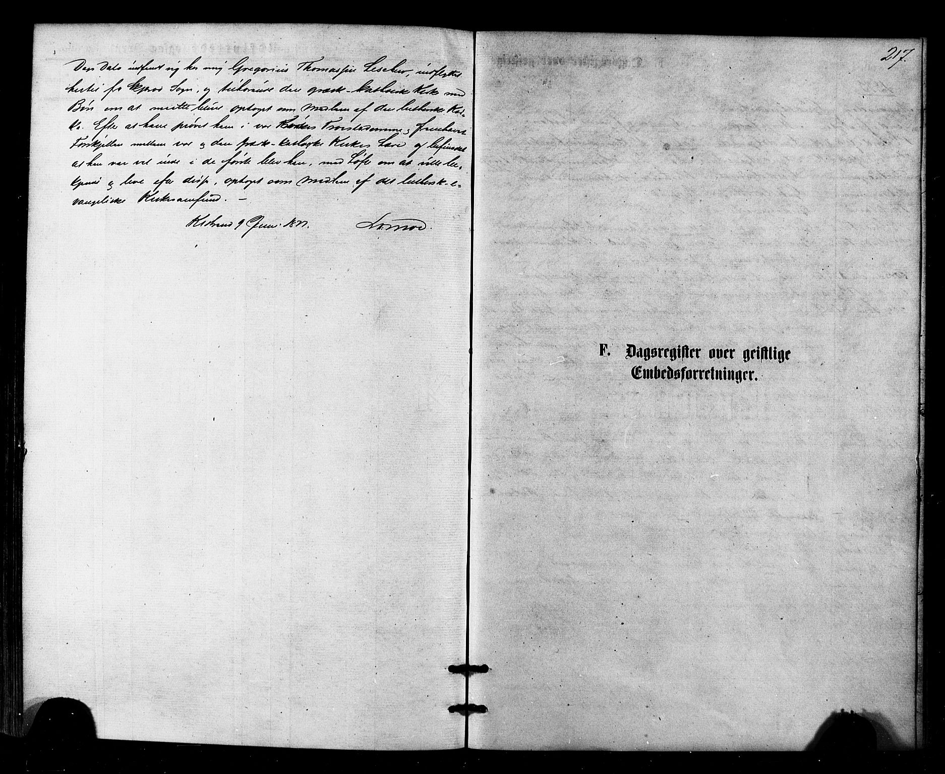 Kistrand/Porsanger sokneprestembete, SATØ/S-1351/H/Ha/L0006.kirke: Parish register (official) no. 6, 1875-1880, p. 217