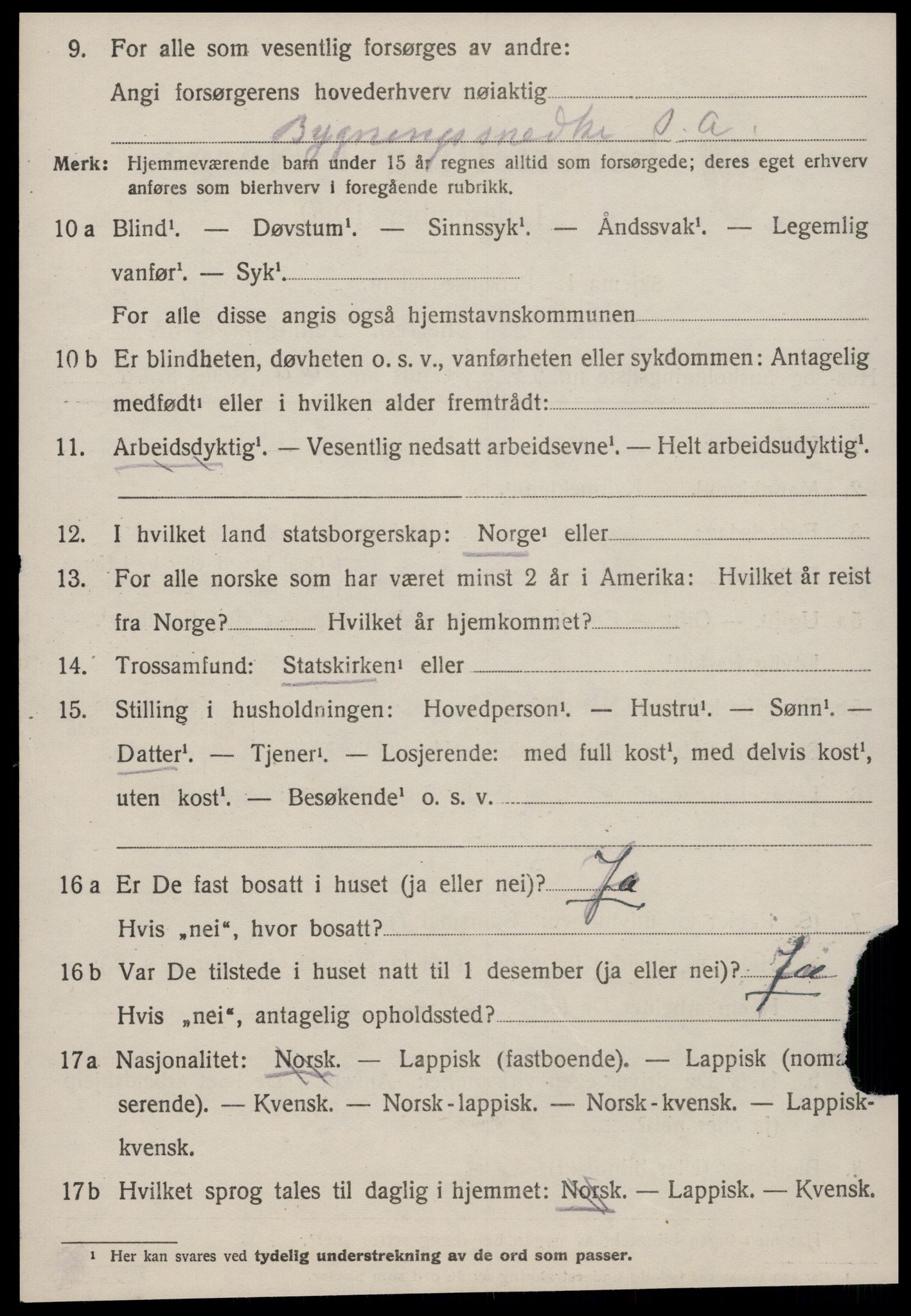 SAT, 1920 census for Strinda, 1920, p. 22211