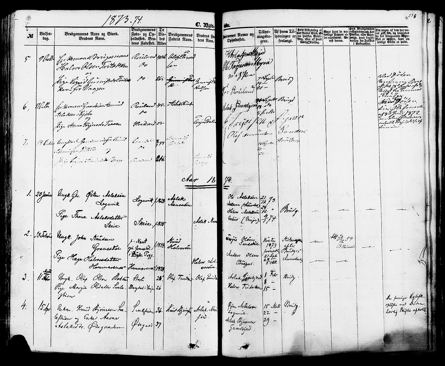 Rauland kirkebøker, AV/SAKO-A-292/F/Fa/L0003: Parish register (official) no. I 3, 1859-1886, p. 238