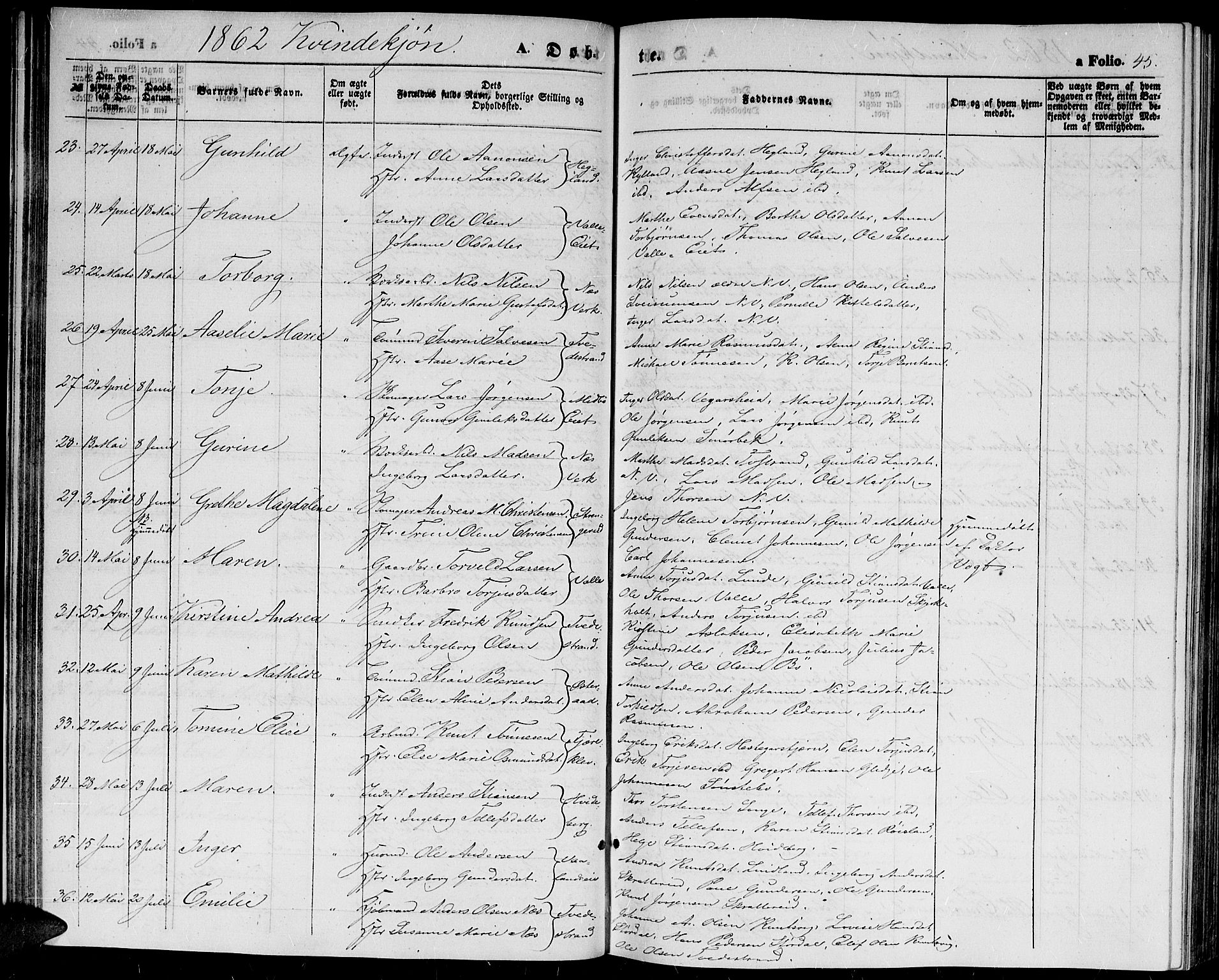 Holt sokneprestkontor, SAK/1111-0021/F/Fb/L0008: Parish register (copy) no. B 8, 1858-1871, p. 45