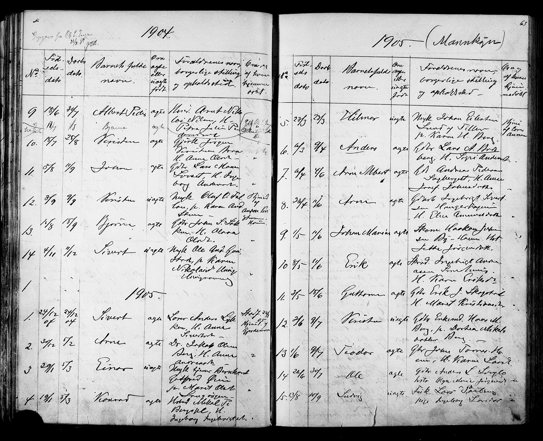 Ministerialprotokoller, klokkerbøker og fødselsregistre - Sør-Trøndelag, SAT/A-1456/612/L0387: Parish register (copy) no. 612C03, 1874-1908, p. 63