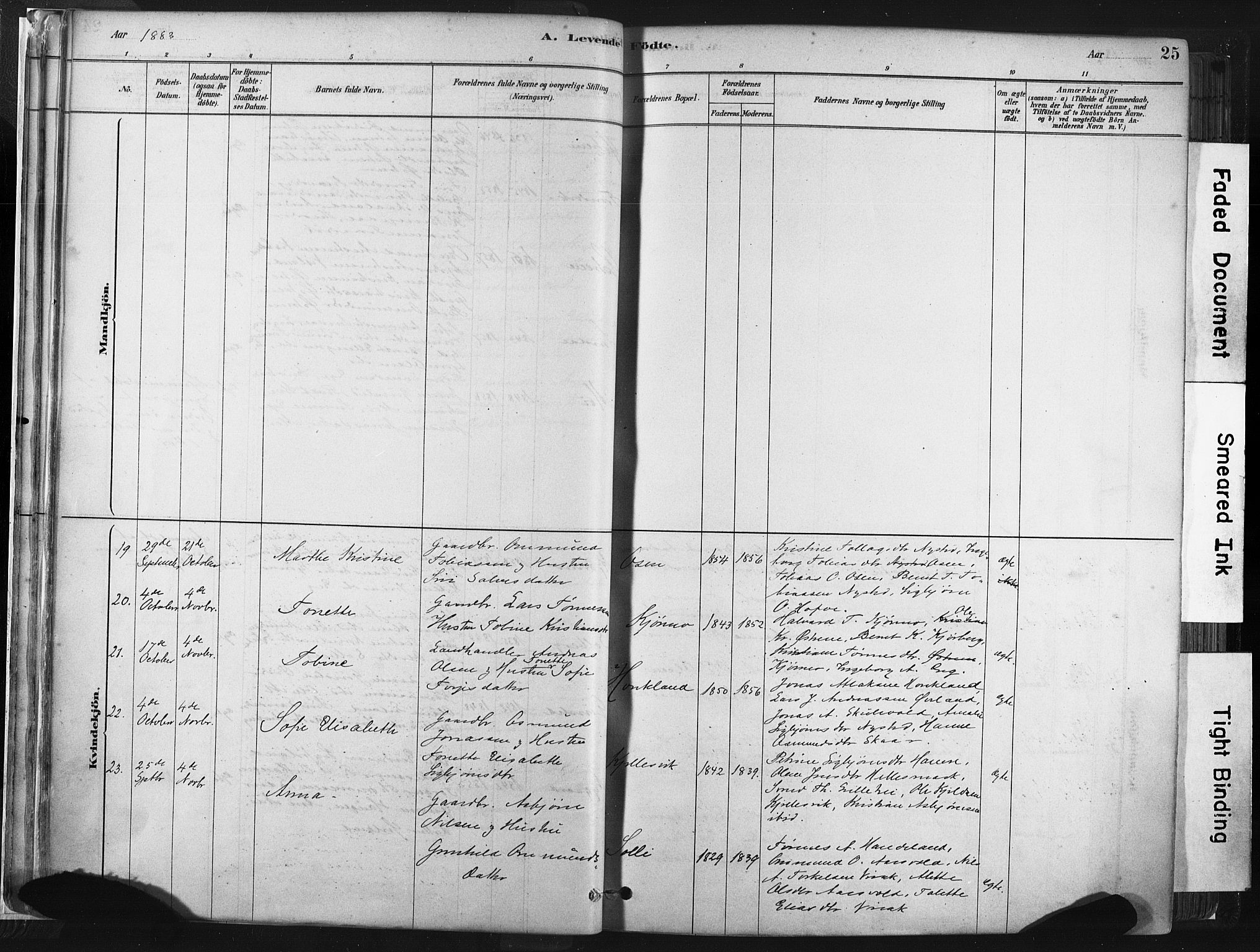 Lund sokneprestkontor, AV/SAST-A-101809/S06/L0011: Parish register (official) no. A 10, 1877-1904, p. 25