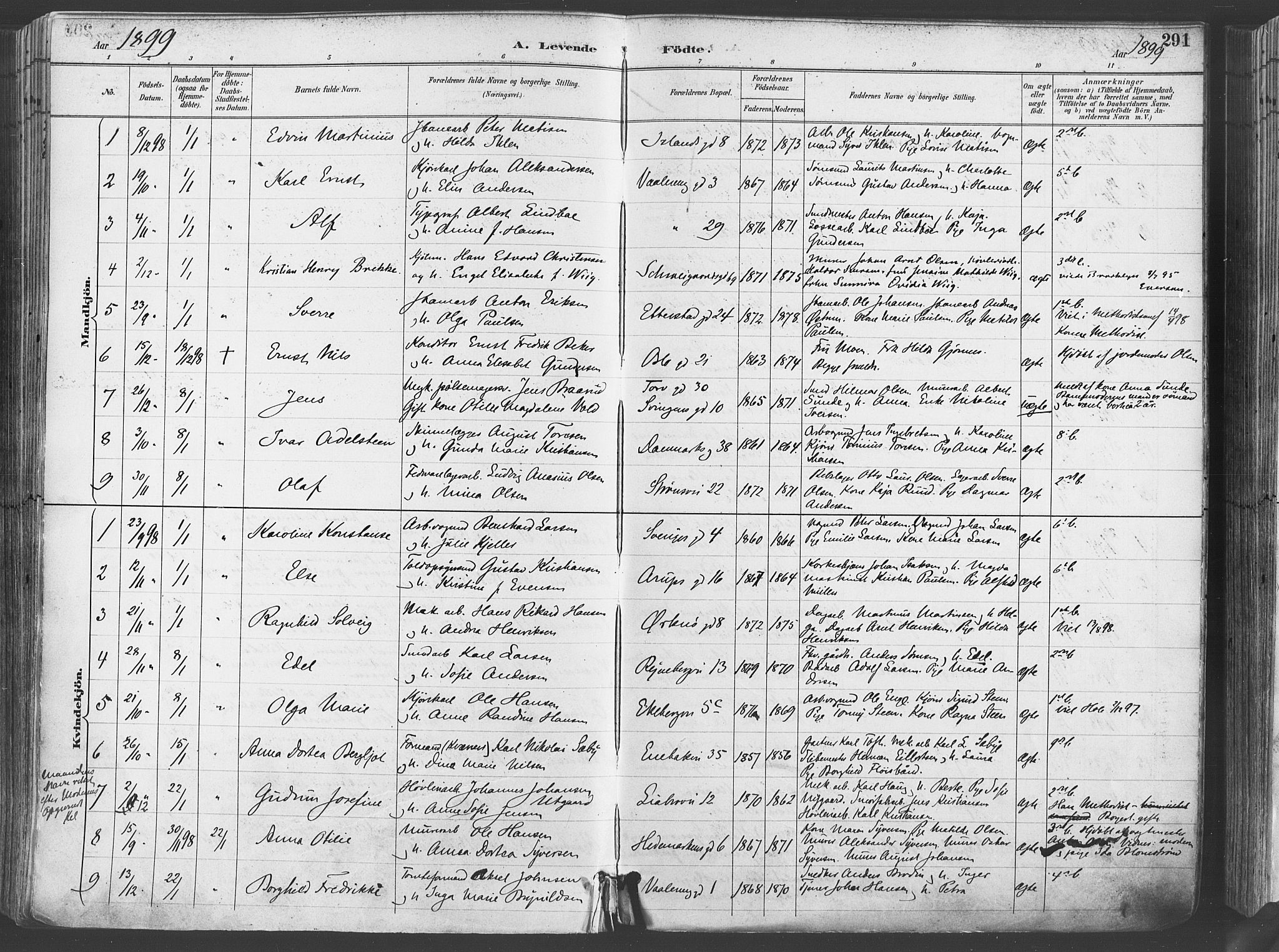 Gamlebyen prestekontor Kirkebøker, AV/SAO-A-10884/F/Fa/L0007: Parish register (official) no. 7, 1889-1899, p. 291