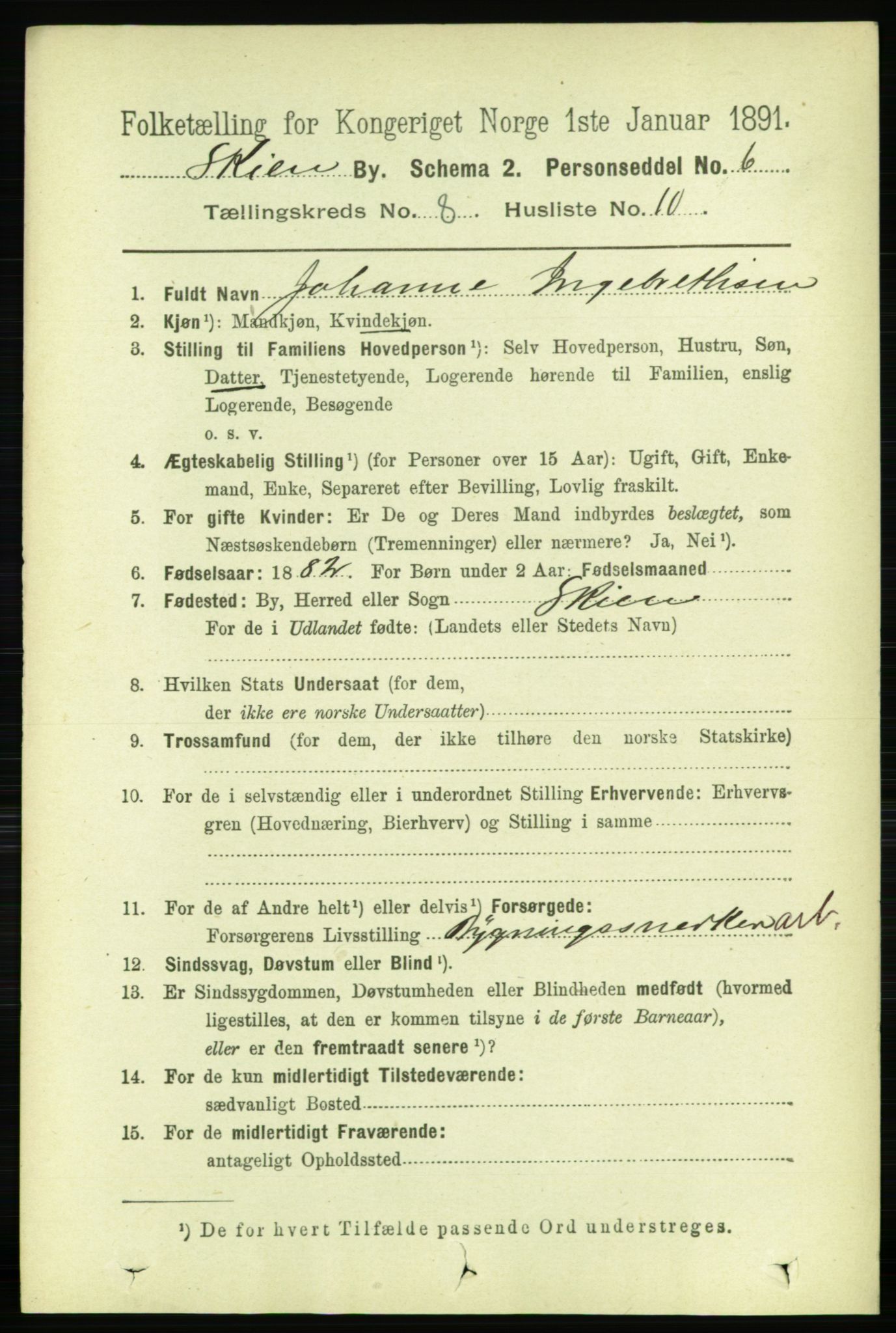 RA, 1891 census for 0806 Skien, 1891, p. 3391