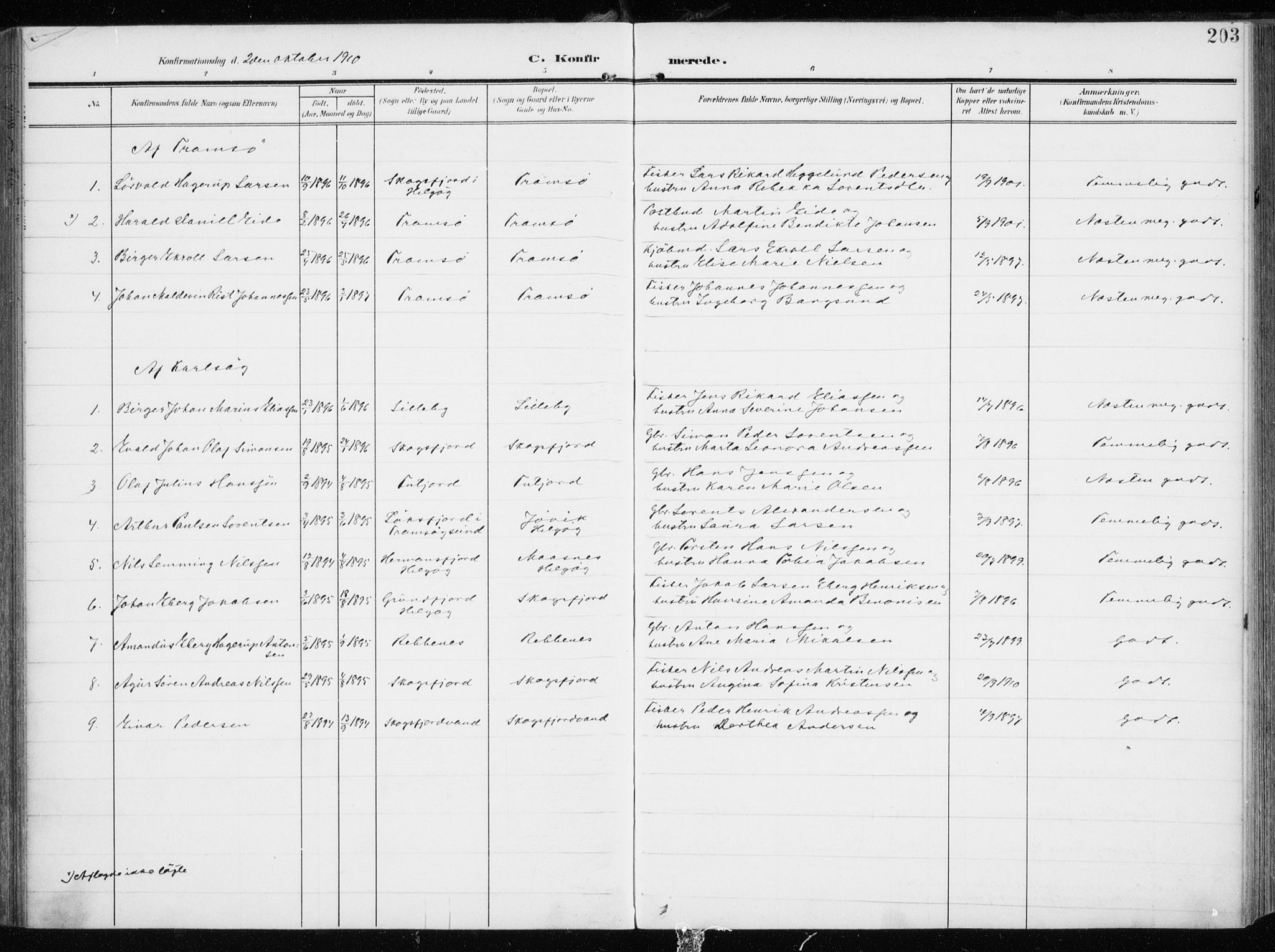 Tromsøysund sokneprestkontor, AV/SATØ-S-1304/G/Ga/L0007kirke: Parish register (official) no. 7, 1907-1914, p. 203