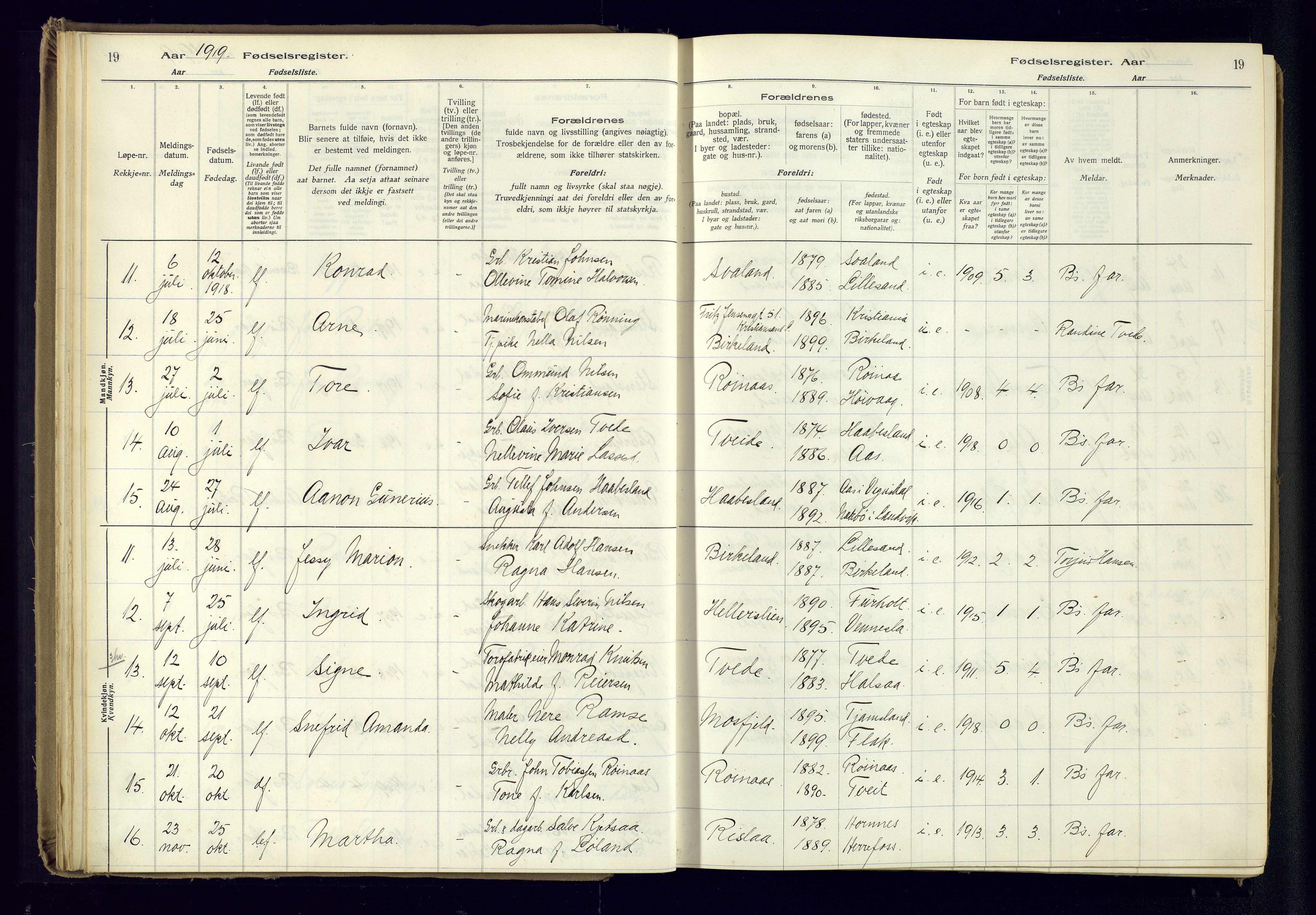 Birkenes sokneprestkontor, SAK/1111-0004/J/Ja/L0001: Birth register no. II.6.4, 1916-1962, p. 19