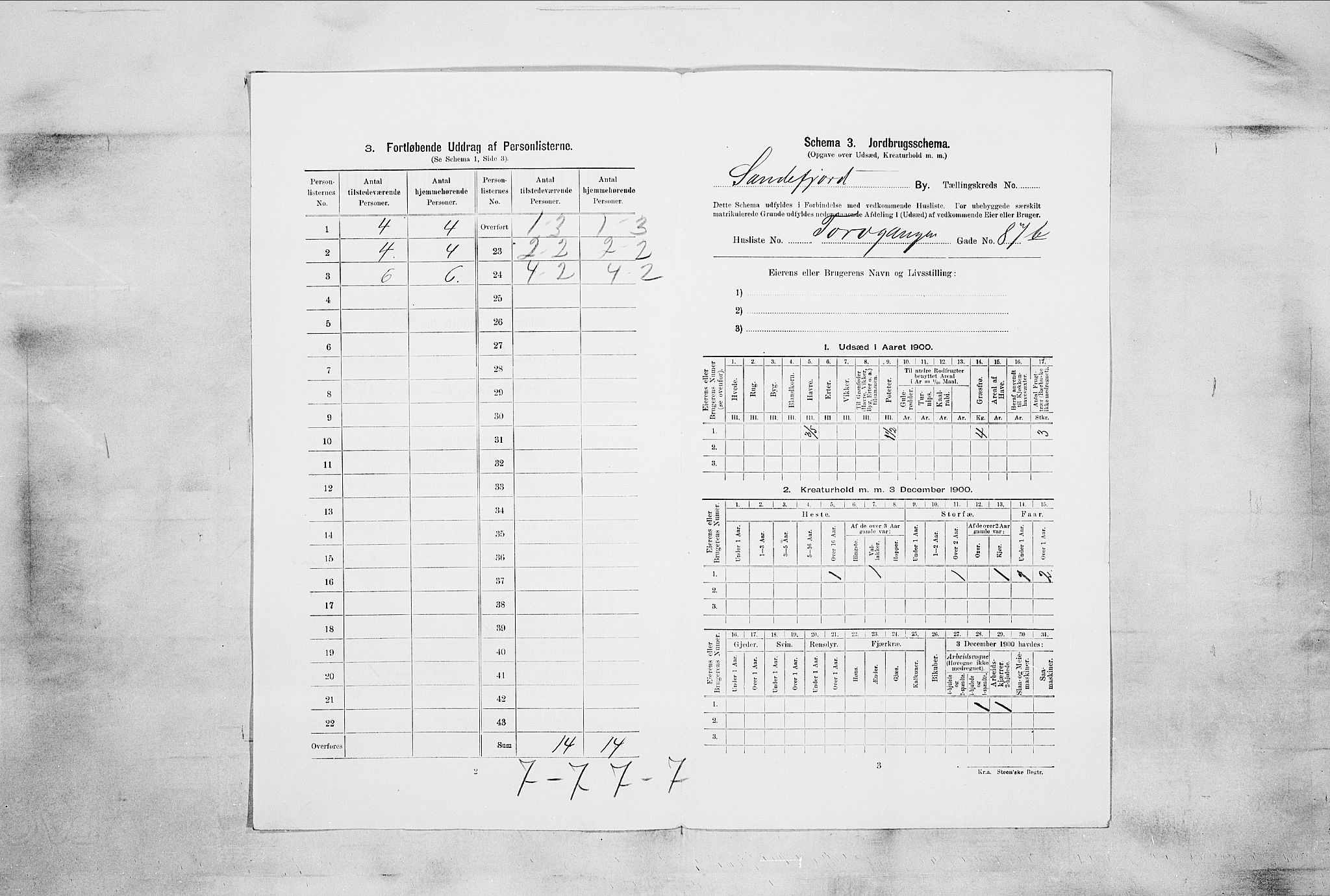 RA, 1900 census for Sandefjord, 1900, p. 1872