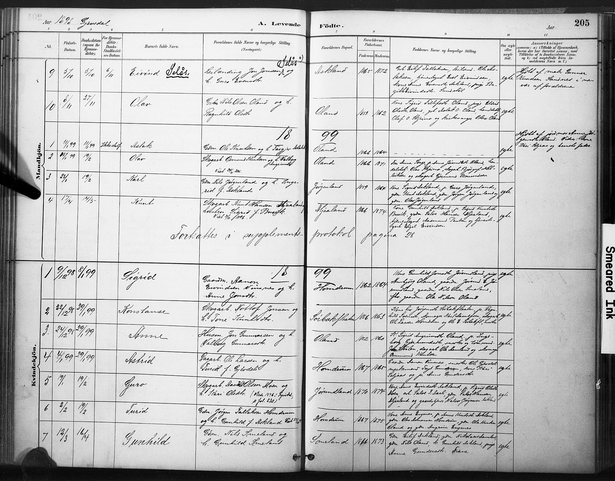 Åmli sokneprestkontor, SAK/1111-0050/F/Fa/Fac/L0010: Parish register (official) no. A 10 /2, 1885-1899, p. 205