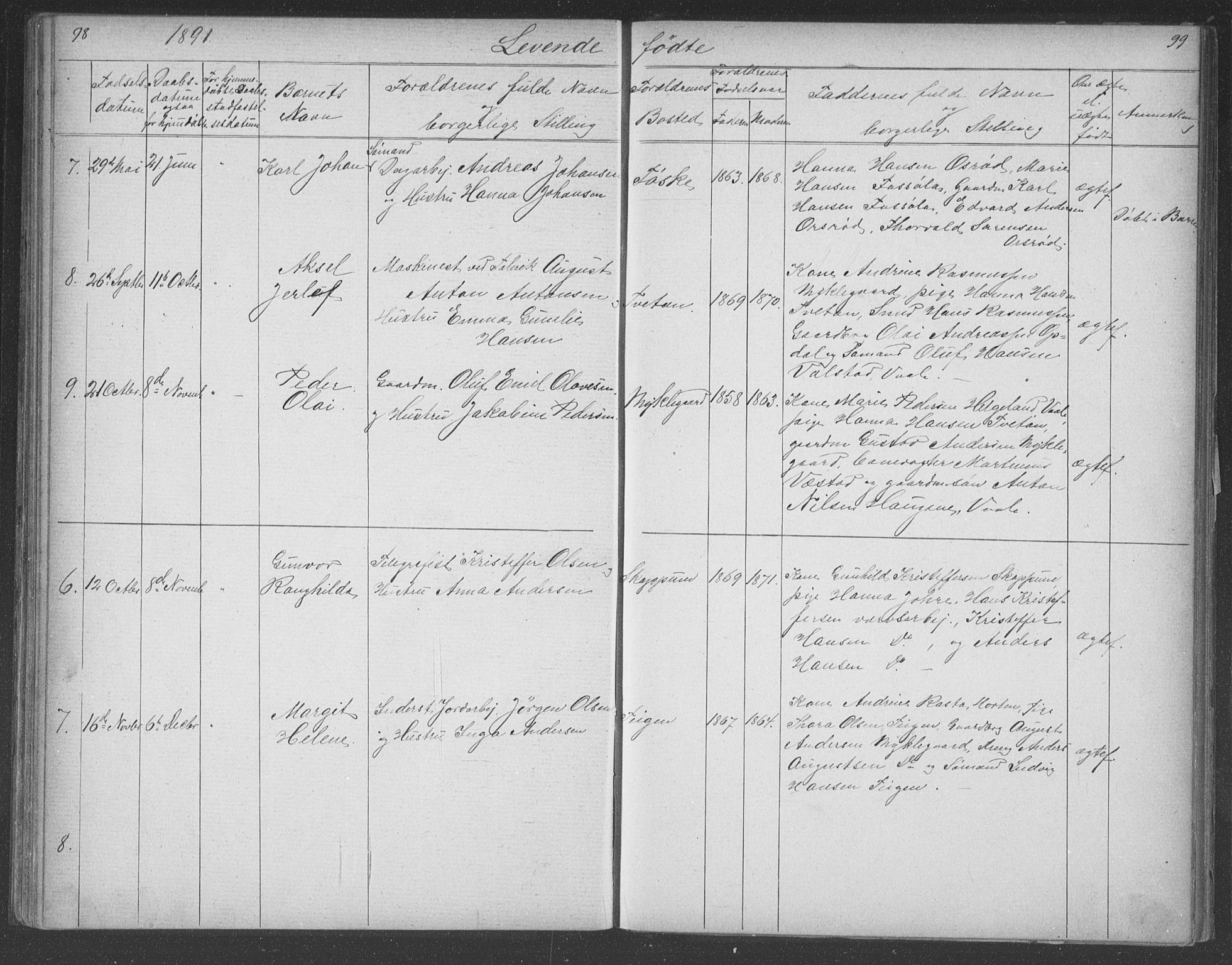 Borre kirkebøker, SAKO/A-338/G/Gb/L0002: Parish register (copy) no. II 2, 1878-1892, p. 98-99