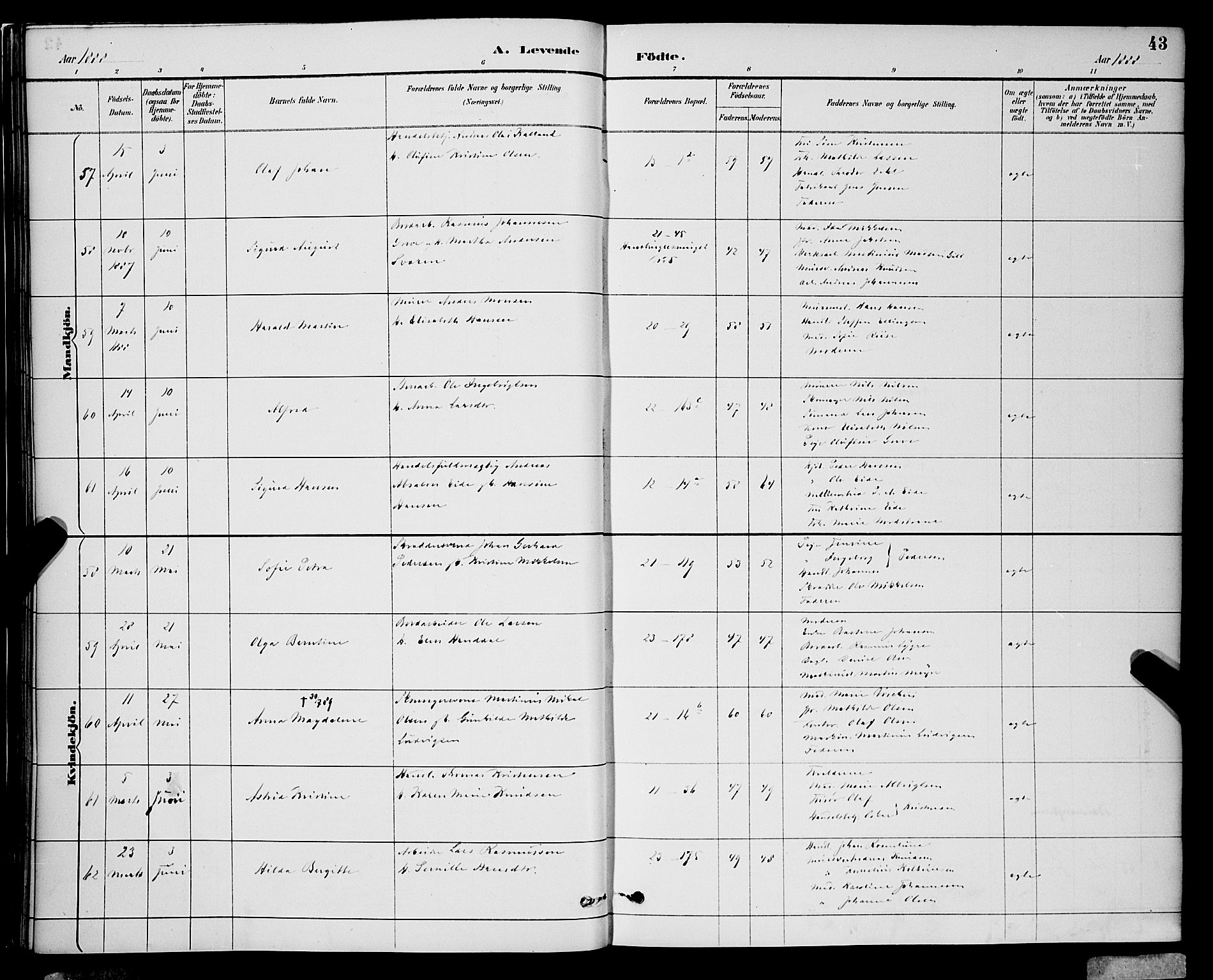 Korskirken sokneprestembete, SAB/A-76101/H/Hab: Parish register (copy) no. B 9, 1887-1896, p. 43