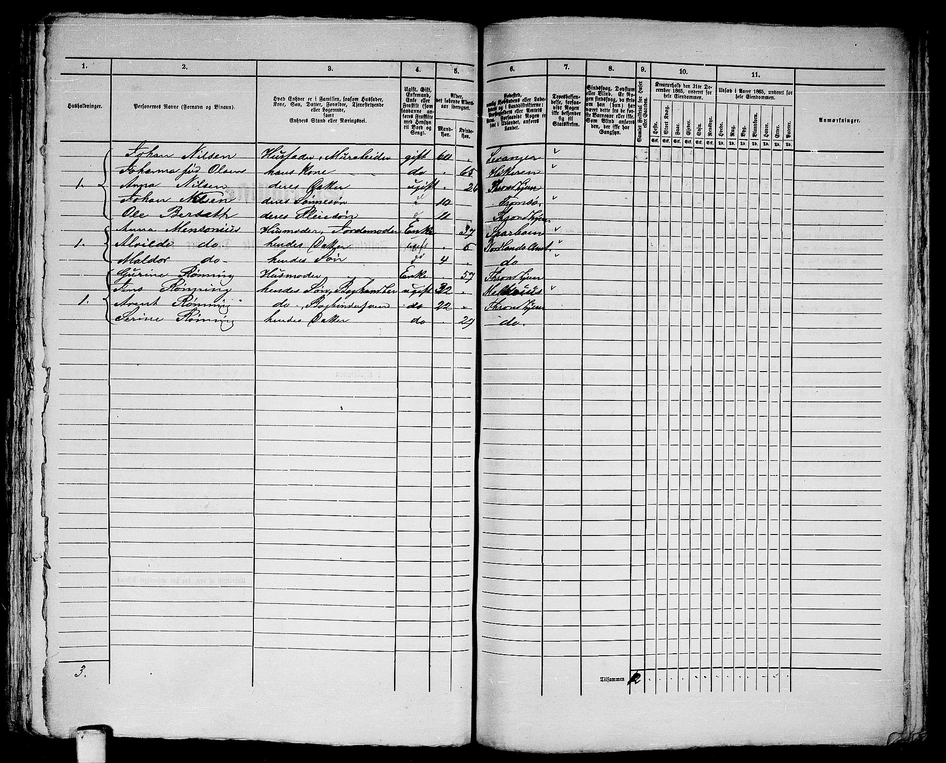 RA, 1865 census for Trondheim, 1865, p. 438