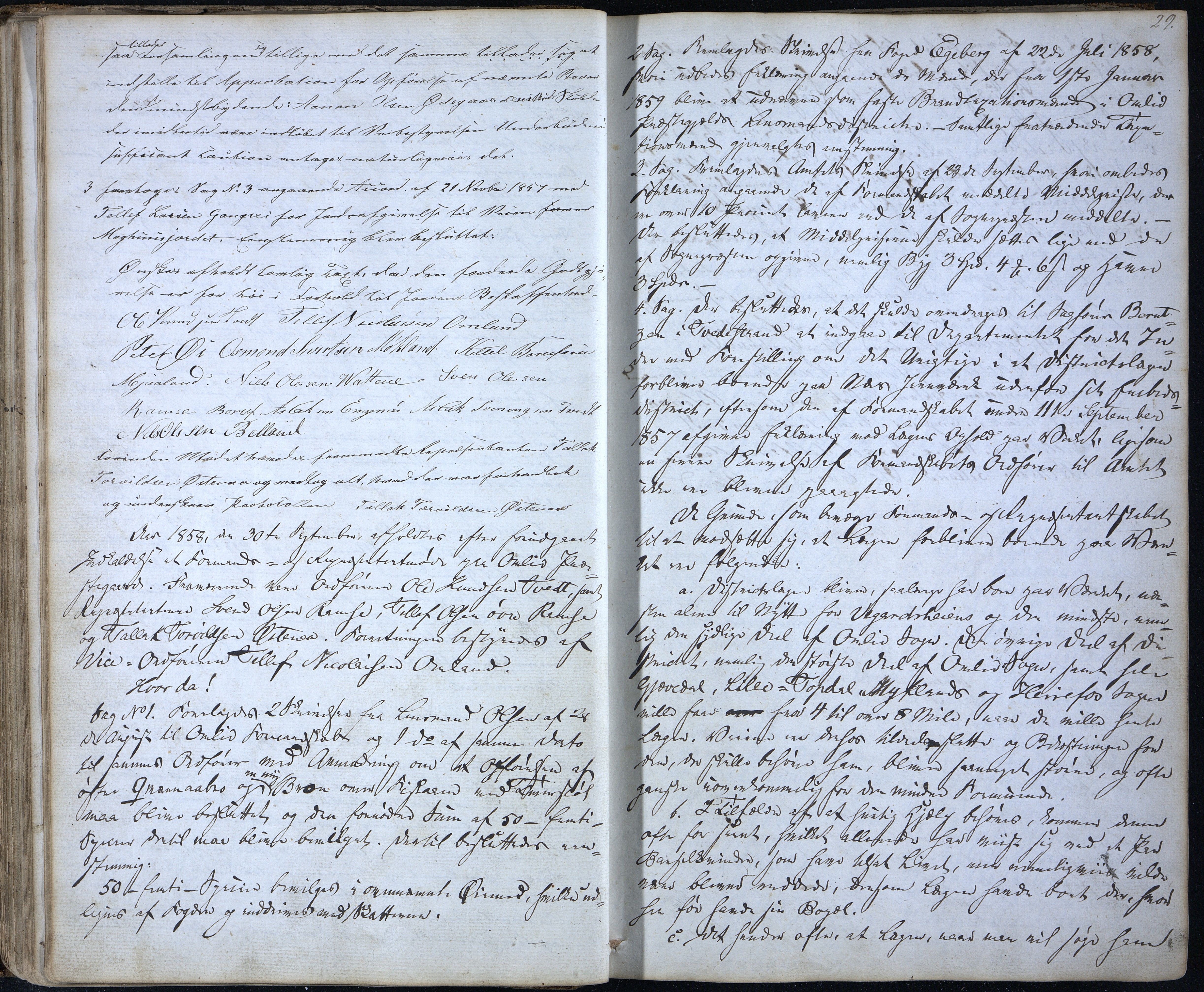 Åmli kommune før 1985, AAKS/KA0929-PK/01/01a/L0002: Møtebok, 1855-1868, p. 29