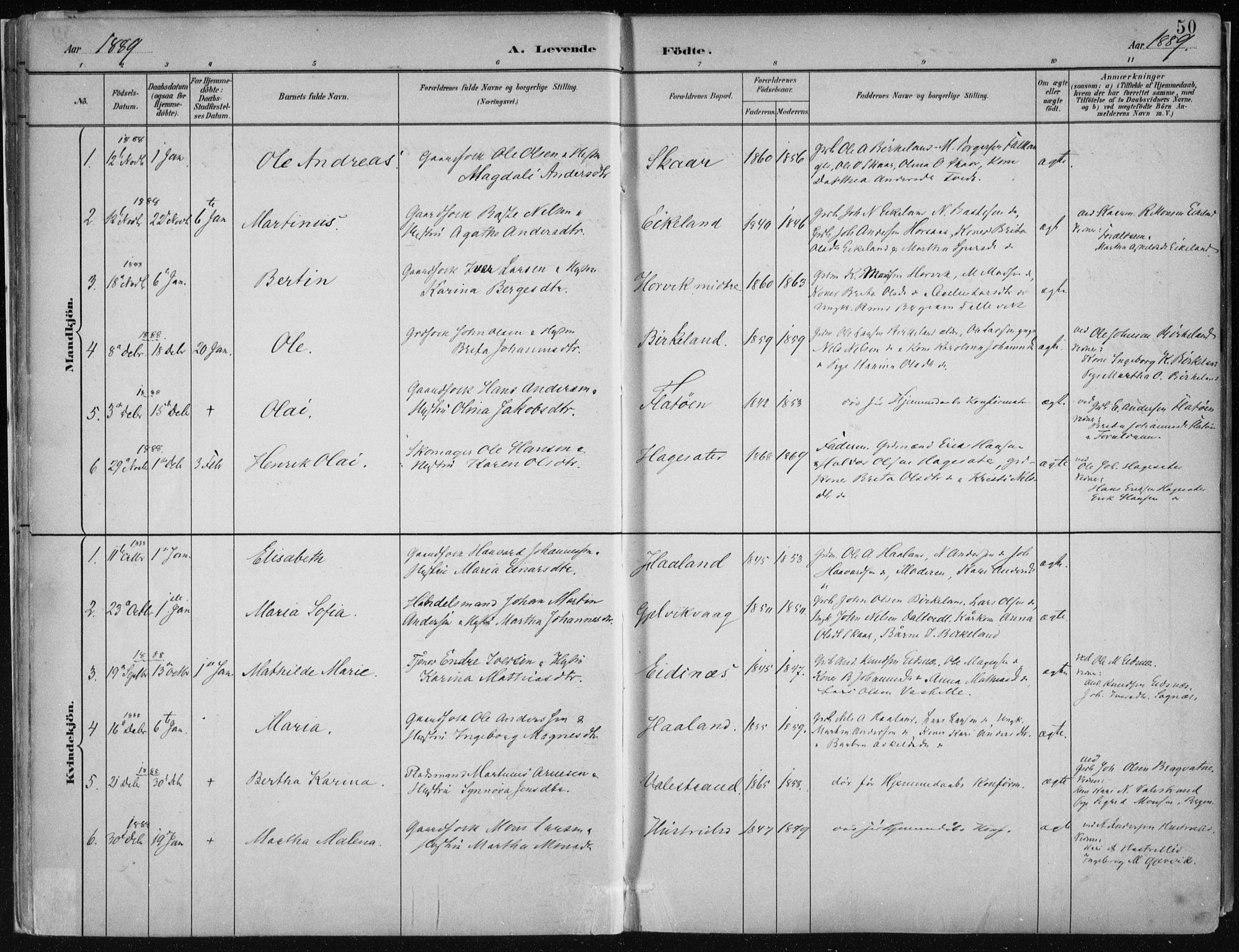 Hamre sokneprestembete, SAB/A-75501/H/Ha/Haa/Haab/L0001: Parish register (official) no. B  1, 1882-1905, p. 50