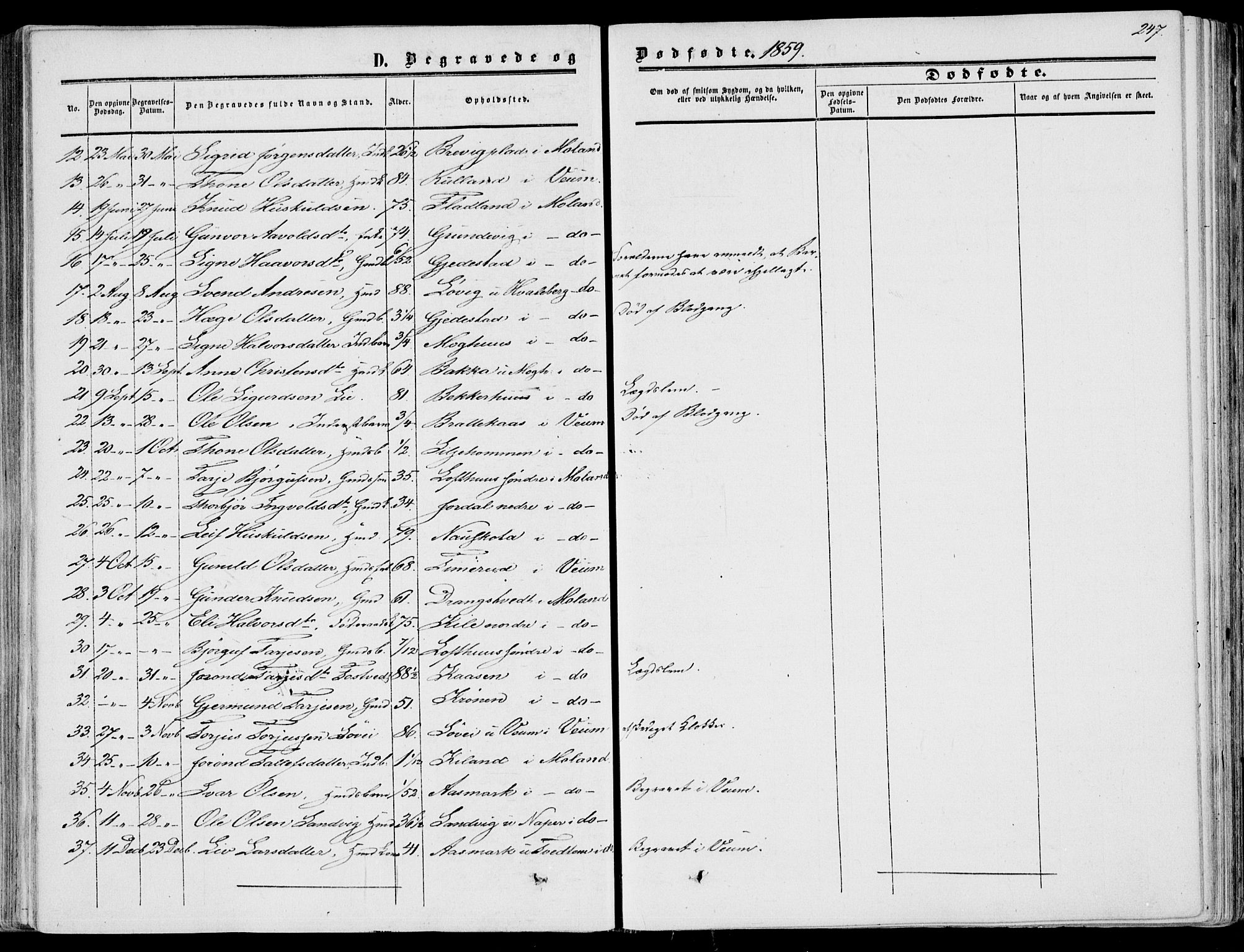 Fyresdal kirkebøker, SAKO/A-263/F/Fa/L0005: Parish register (official) no. I 5, 1855-1871, p. 247