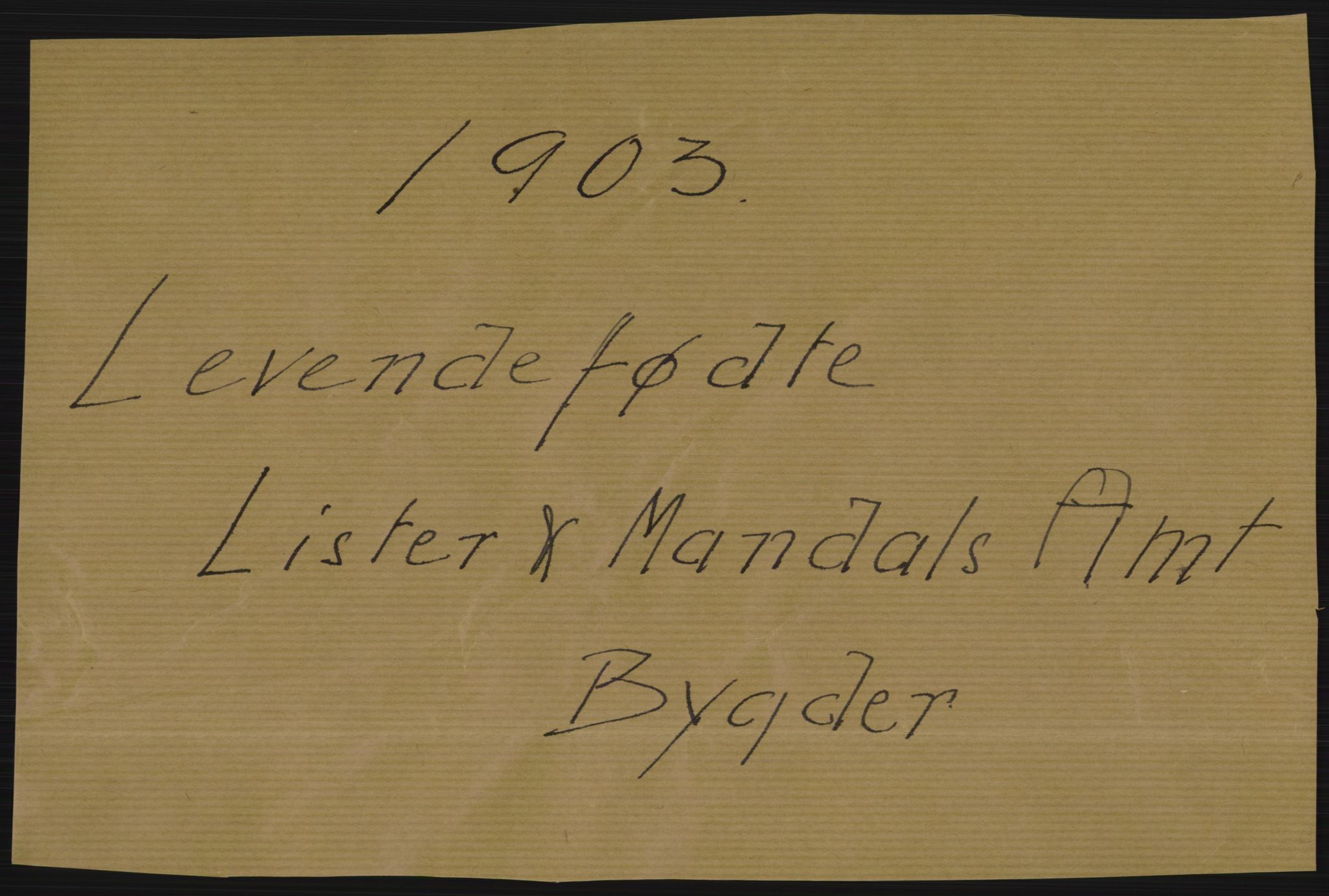 Statistisk sentralbyrå, Sosiodemografiske emner, Befolkning, AV/RA-S-2228/D/Df/Dfa/Dfaa/L0011: Lister og Mandal amt: Fødte, gifte, døde, 1903, p. 1