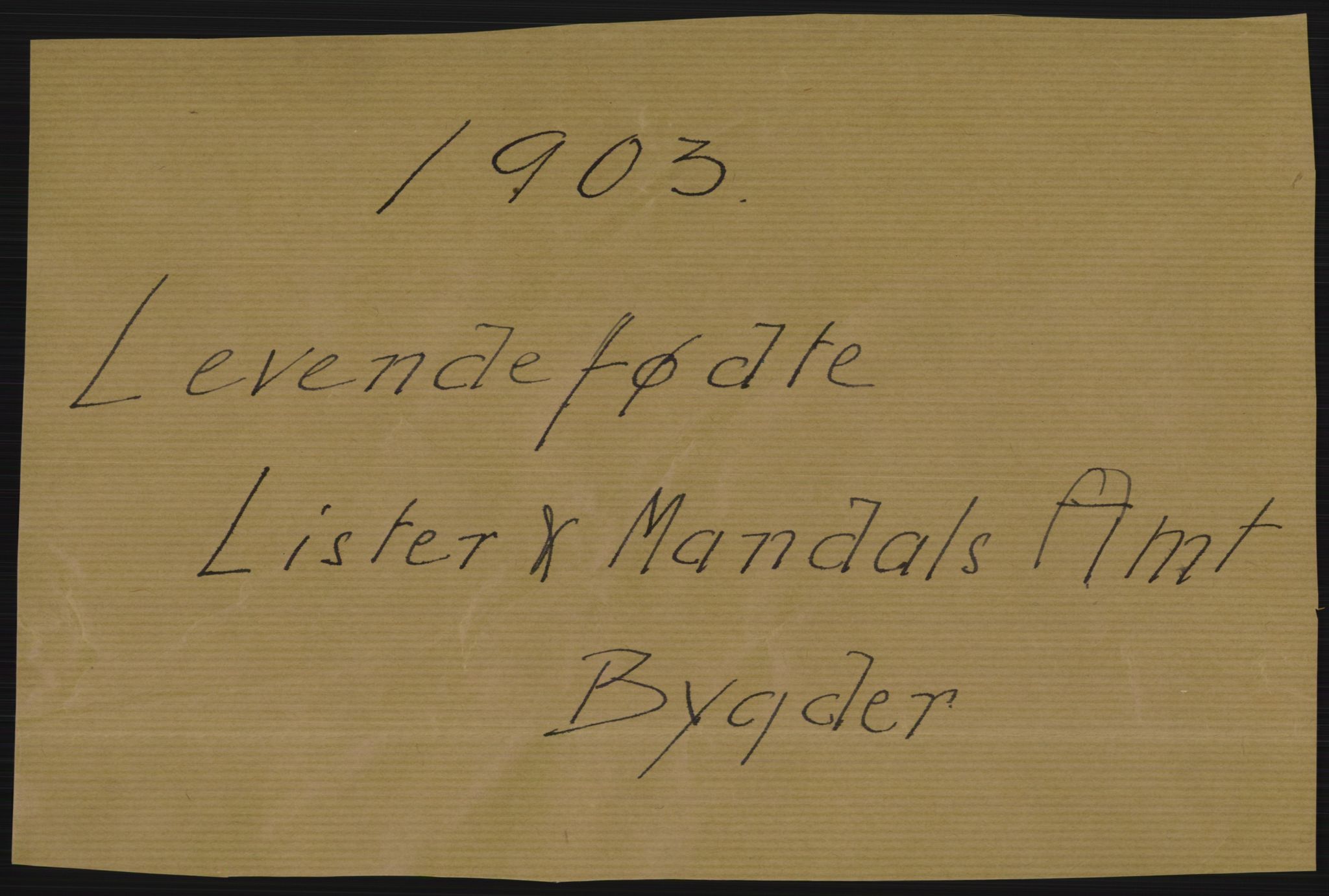 Statistisk sentralbyrå, Sosiodemografiske emner, Befolkning, RA/S-2228/D/Df/Dfa/Dfaa/L0011: Lister og Mandal amt: Fødte, gifte, døde, 1903, p. 1