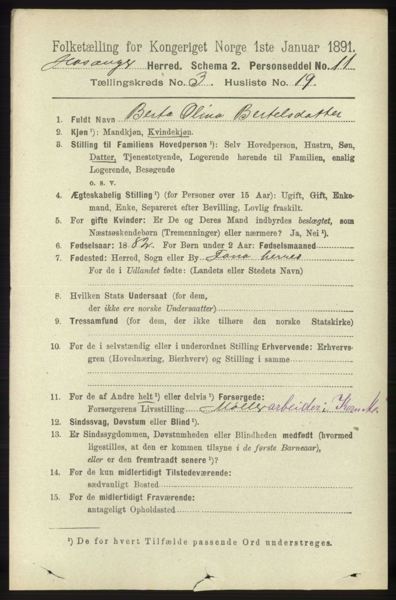 RA, 1891 census for 1253 Hosanger, 1891, p. 1149