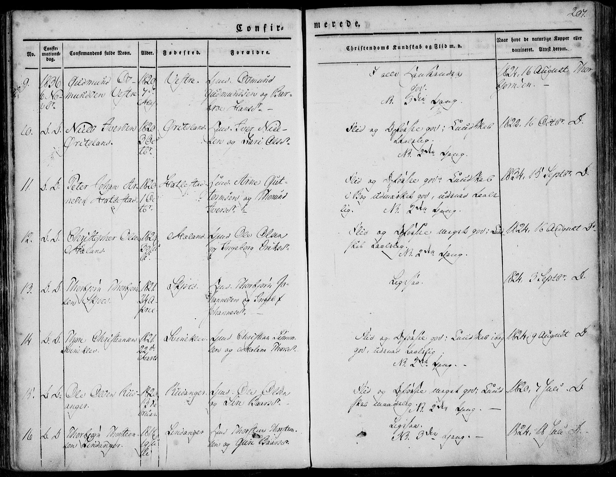 Skjold sokneprestkontor, AV/SAST-A-101847/H/Ha/Haa/L0006: Parish register (official) no. A 6.1, 1835-1858, p. 207