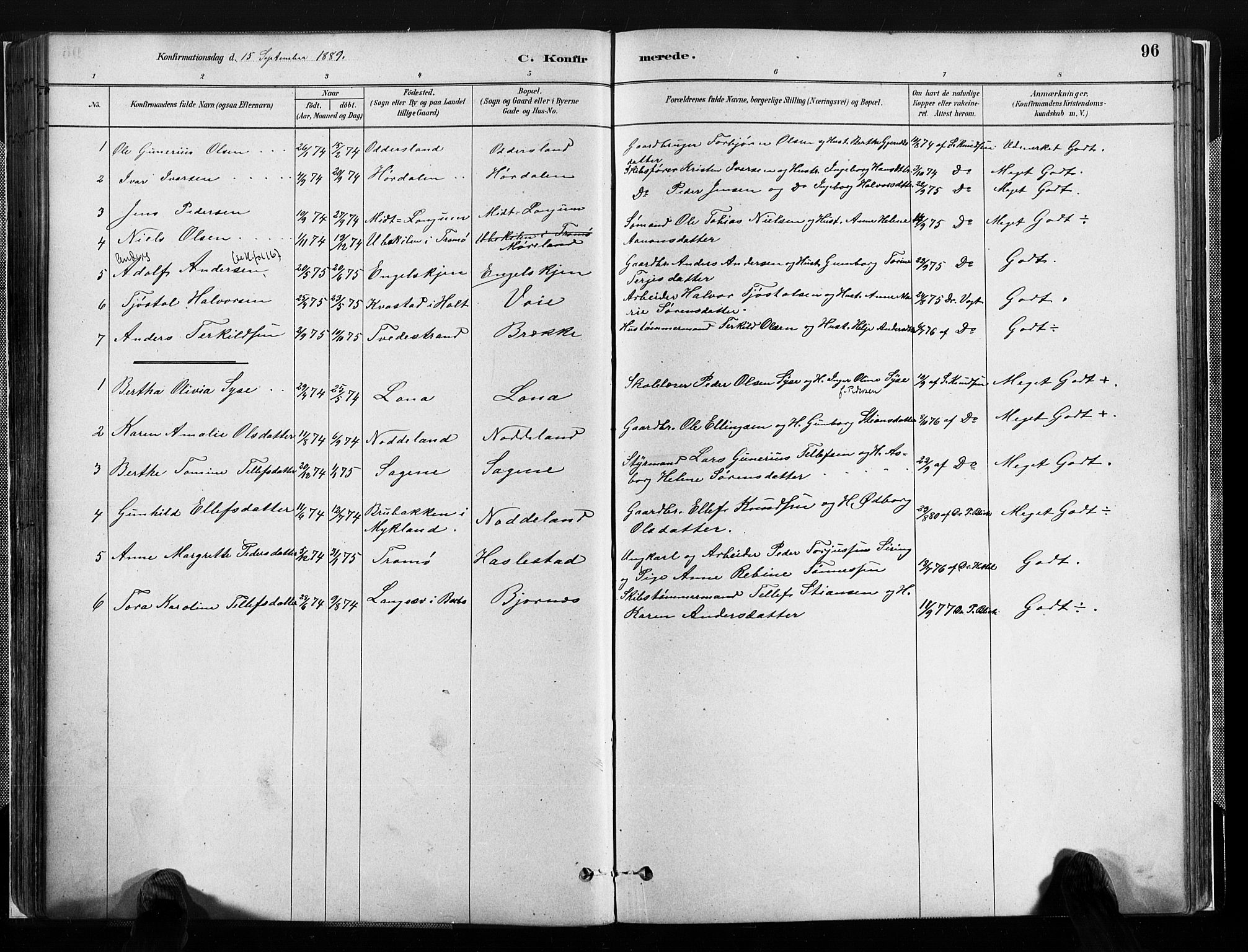 Austre Moland sokneprestkontor, AV/SAK-1111-0001/F/Fa/Faa/L0010: Parish register (official) no. A 10, 1880-1904, p. 96