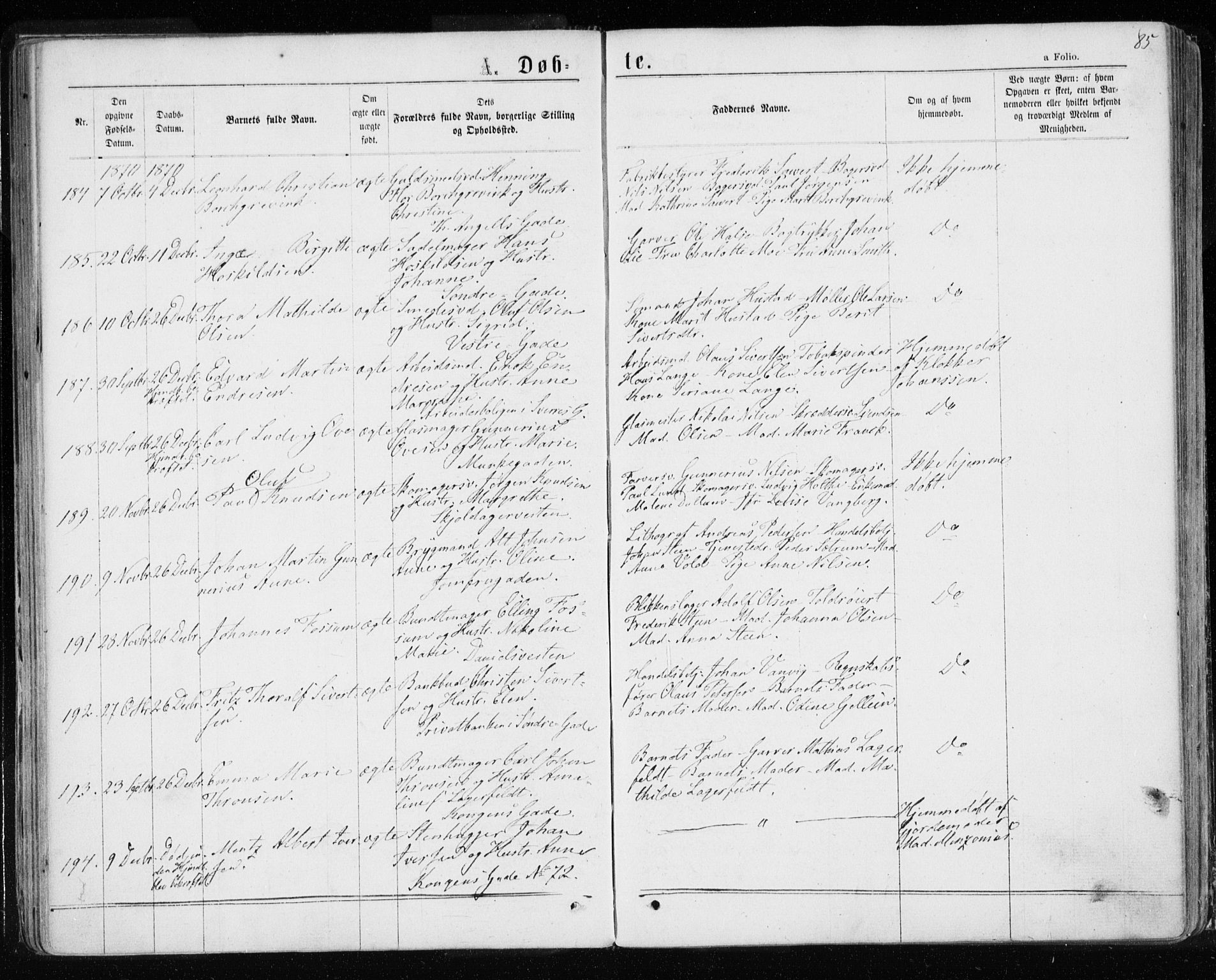 Ministerialprotokoller, klokkerbøker og fødselsregistre - Sør-Trøndelag, AV/SAT-A-1456/601/L0054: Parish register (official) no. 601A22, 1866-1877, p. 85