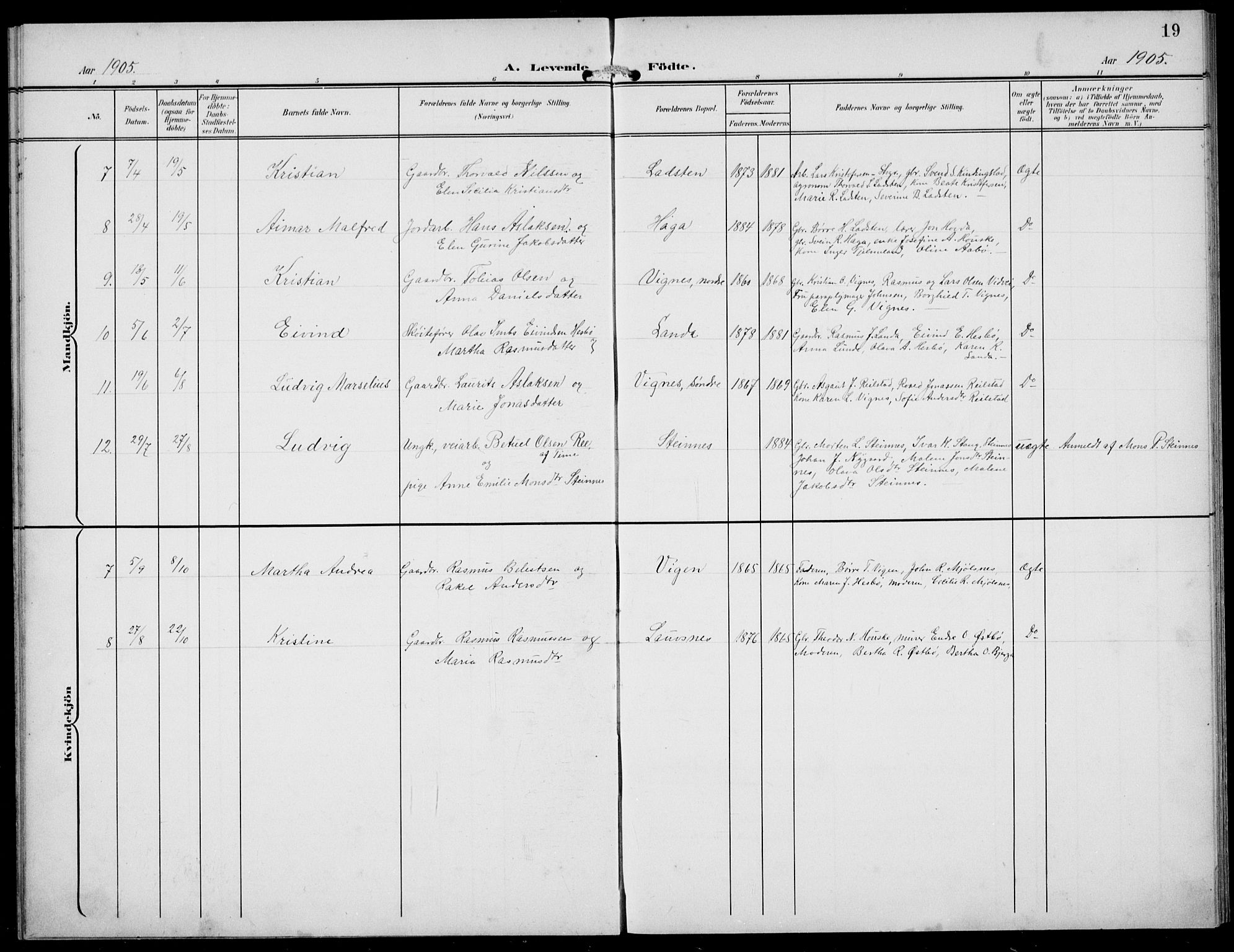 Finnøy sokneprestkontor, AV/SAST-A-101825/H/Ha/Hab/L0006: Parish register (copy) no. B 6, 1900-1934, p. 19