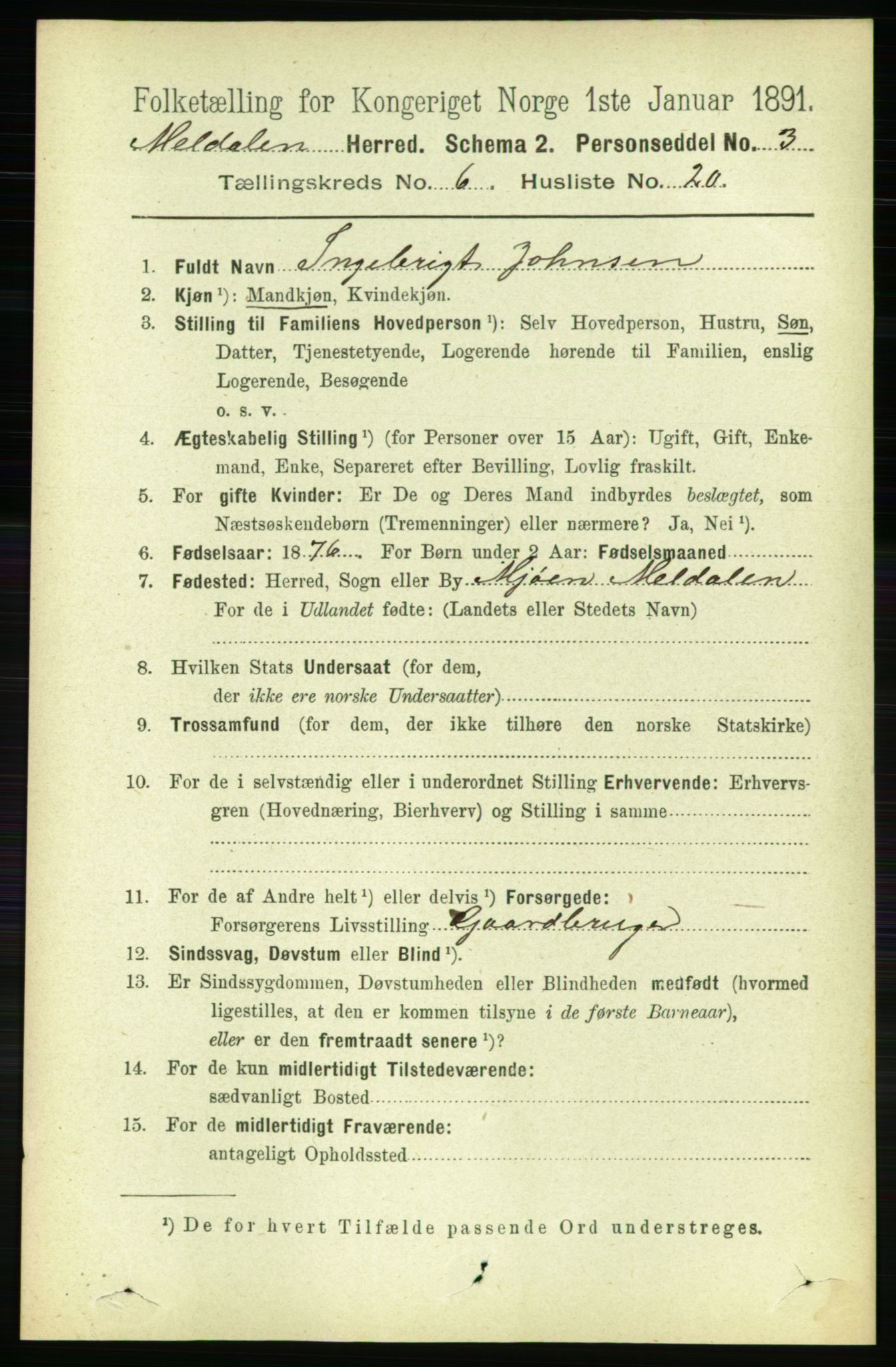 RA, 1891 census for 1636 Meldal, 1891, p. 2995