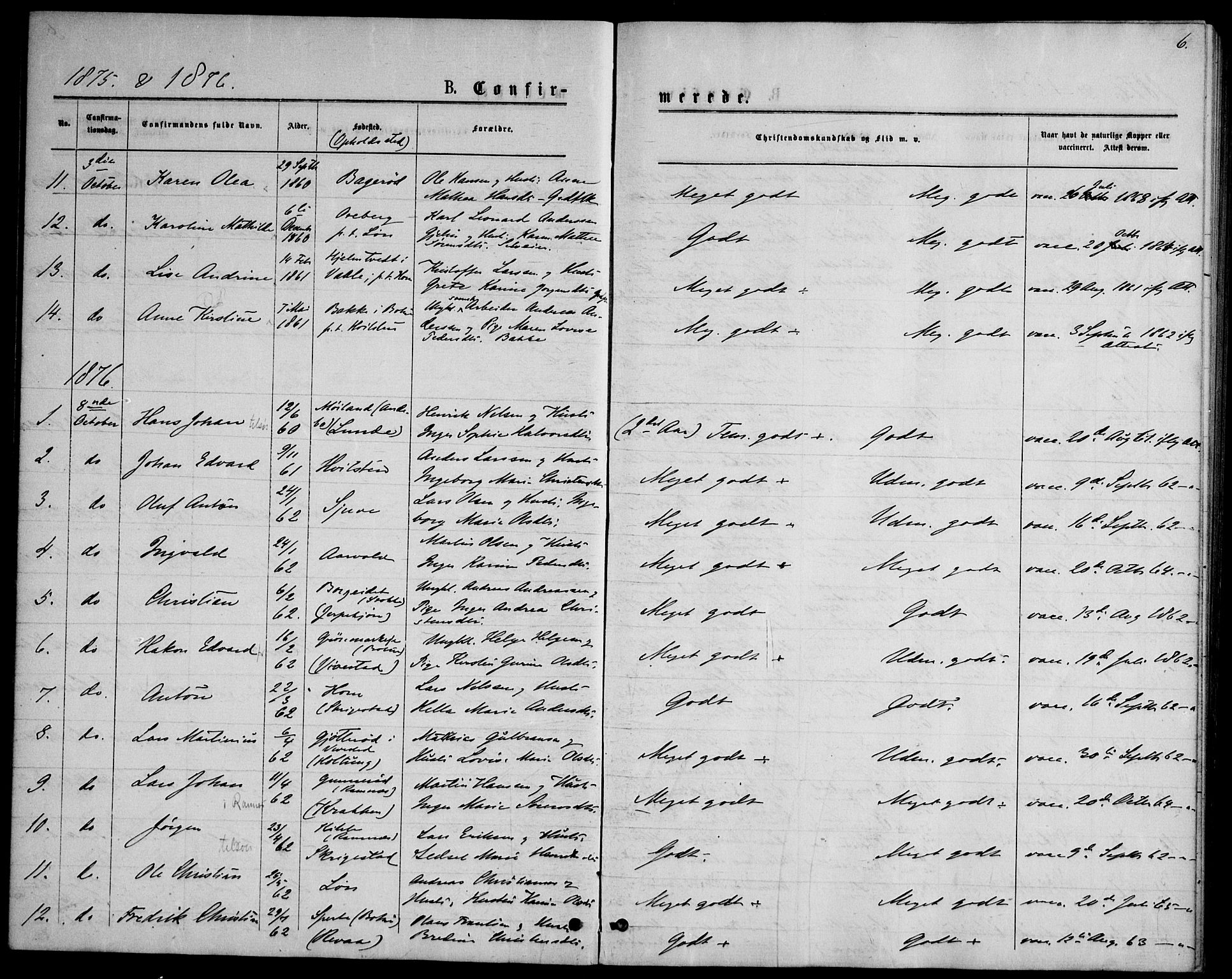 Ramnes kirkebøker, AV/SAKO-A-314/F/Fd/L0002: Curate's parish register no. IV 2, 1872-1886, p. 6