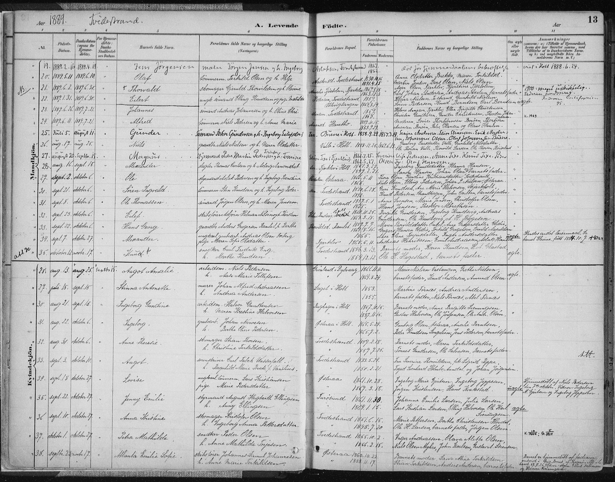 Tvedestrand sokneprestkontor, AV/SAK-1111-0042/F/Fa/L0001: Parish register (official) no. A 1, 1885-1916, p. 13