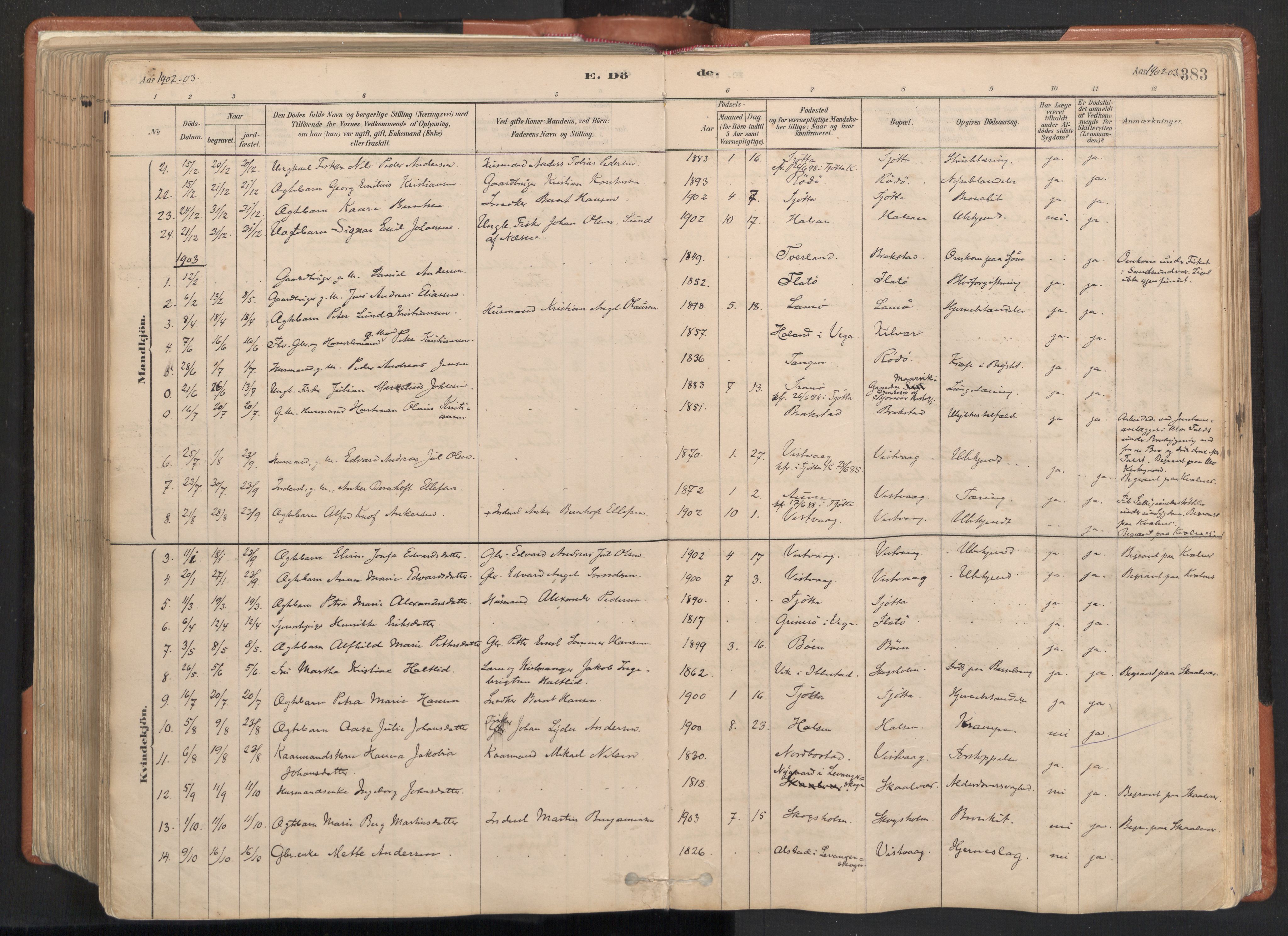 Ministerialprotokoller, klokkerbøker og fødselsregistre - Nordland, SAT/A-1459/817/L0264: Parish register (official) no. 817A04, 1878-1907, p. 383