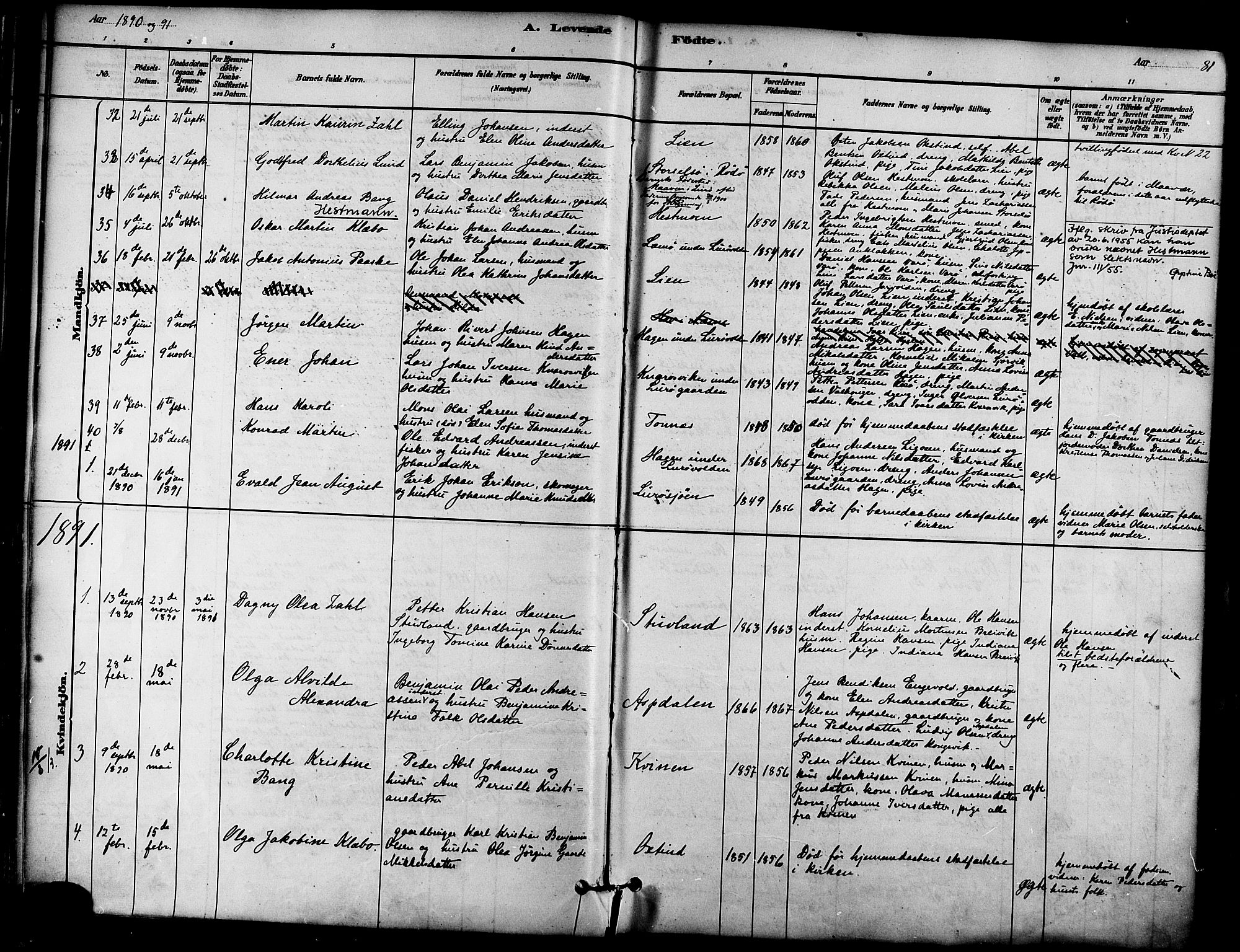 Ministerialprotokoller, klokkerbøker og fødselsregistre - Nordland, SAT/A-1459/839/L0568: Parish register (official) no. 839A05, 1880-1902, p. 81