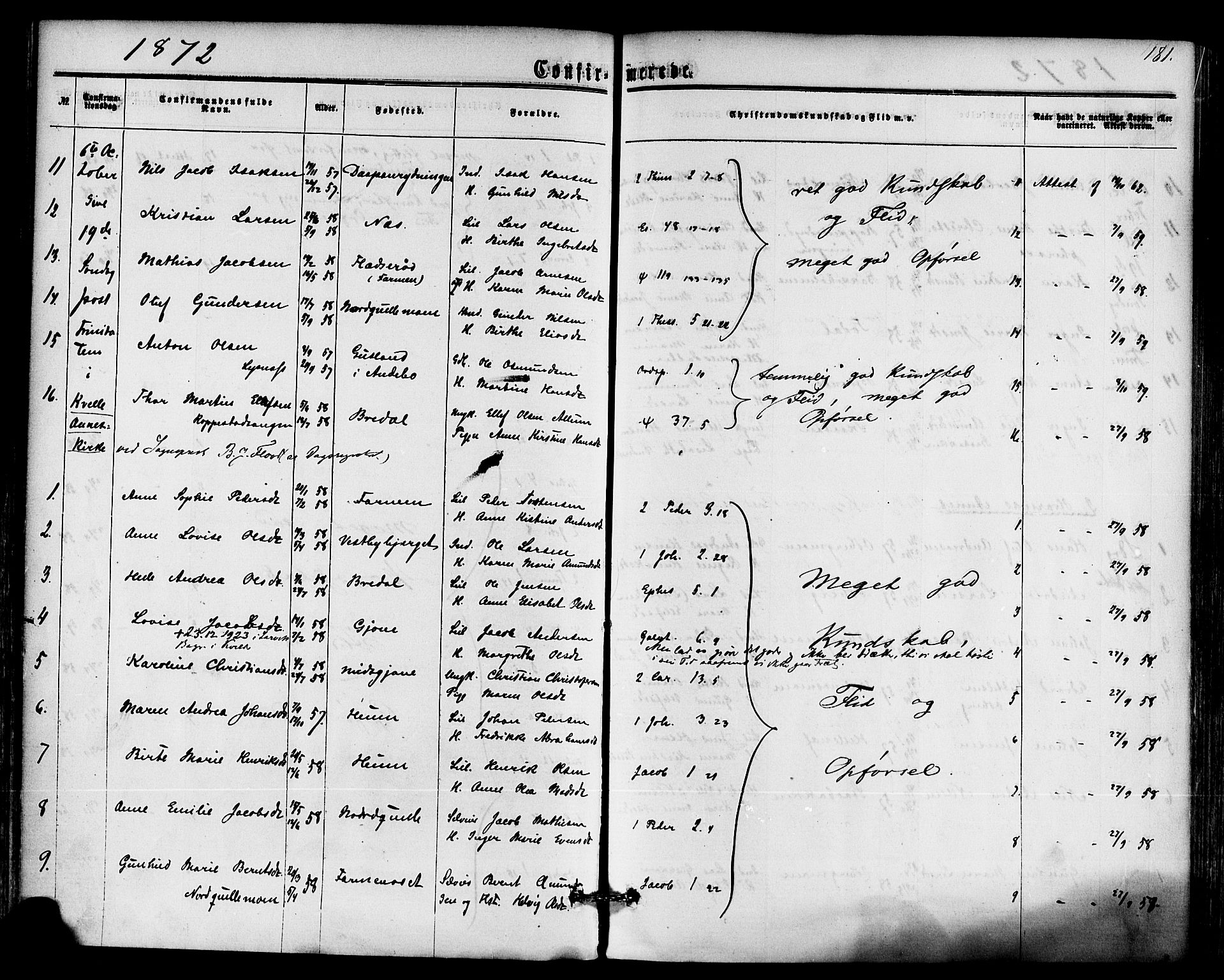 Hedrum kirkebøker, AV/SAKO-A-344/F/Fa/L0008: Parish register (official) no. I 8, 1869-1880, p. 181