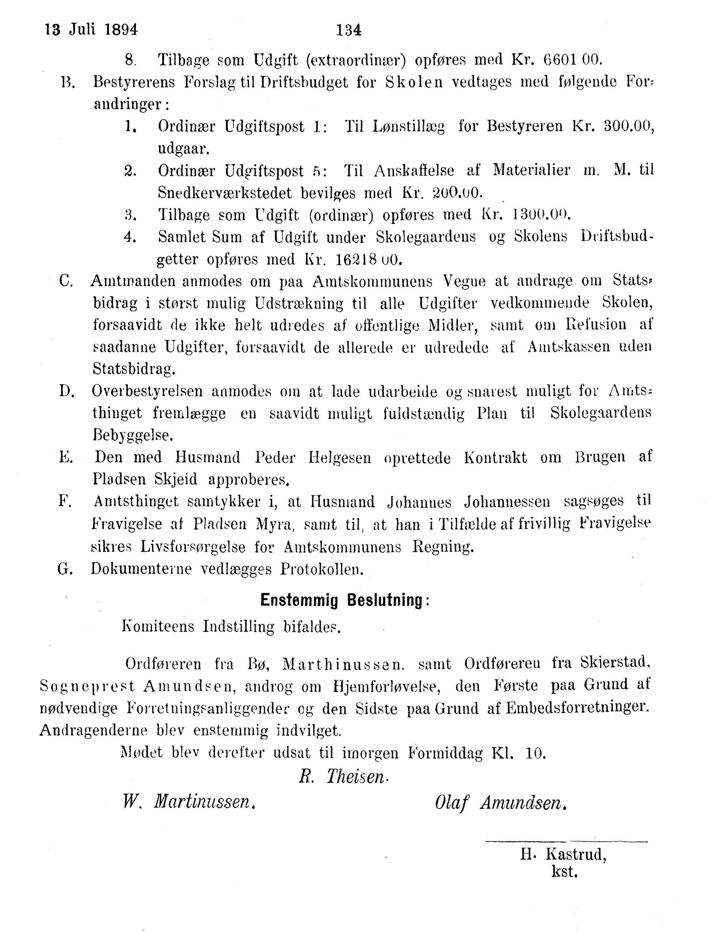 Nordland Fylkeskommune. Fylkestinget, AIN/NFK-17/176/A/Ac/L0017: Fylkestingsforhandlinger 1894, 1894