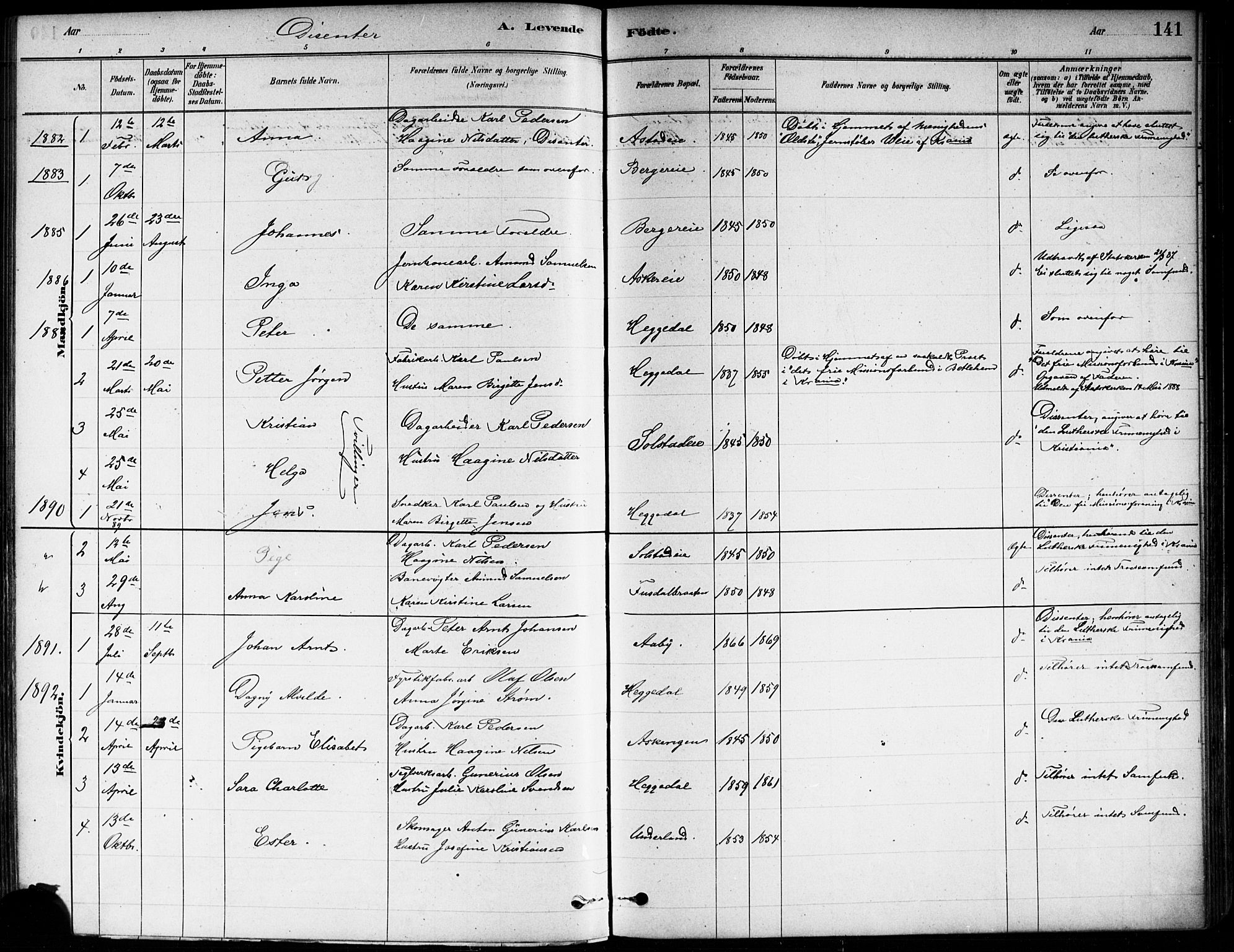 Asker prestekontor Kirkebøker, SAO/A-10256a/F/Fa/L0013: Parish register (official) no. I 13, 1879-1896, p. 141