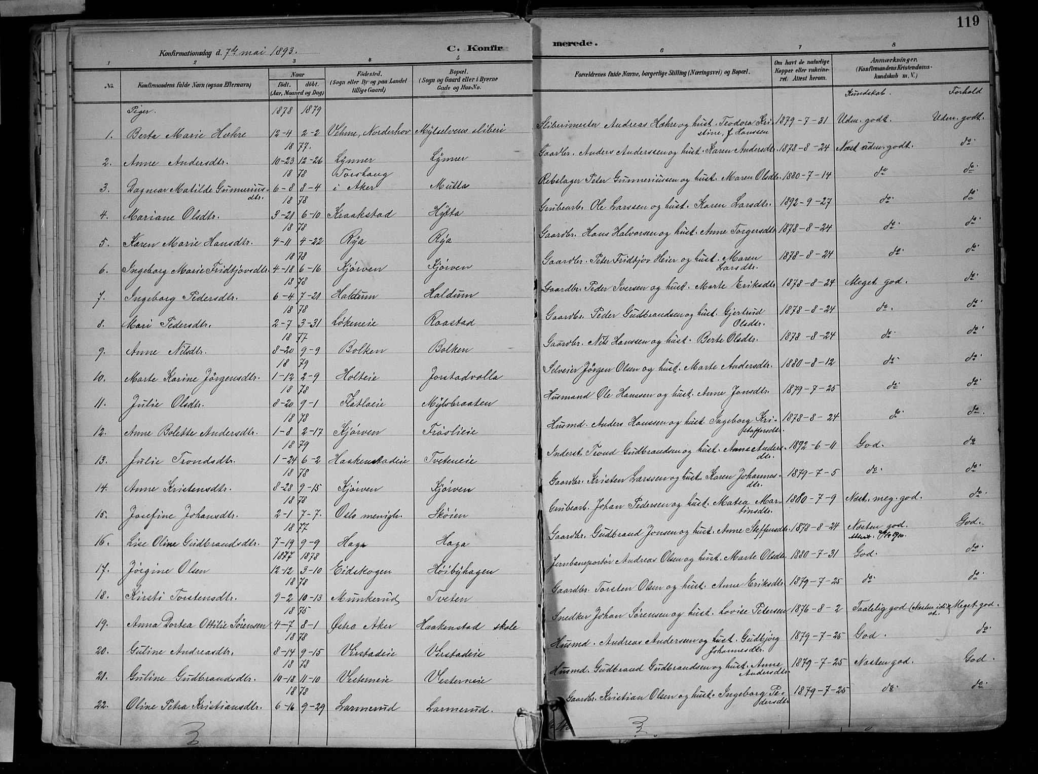 Jevnaker prestekontor, SAH/PREST-116/H/Ha/Haa/L0010: Parish register (official) no. 10, 1891-1906, p. 119