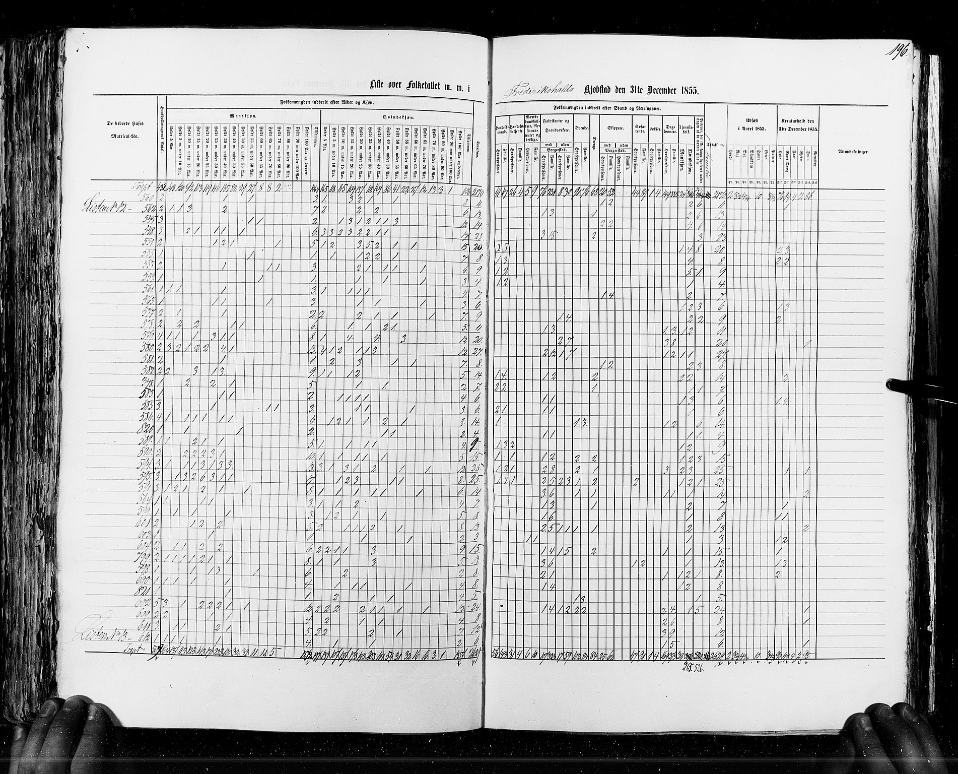 RA, Census 1855, vol. 7: Fredrikshald-Kragerø, 1855, p. 196