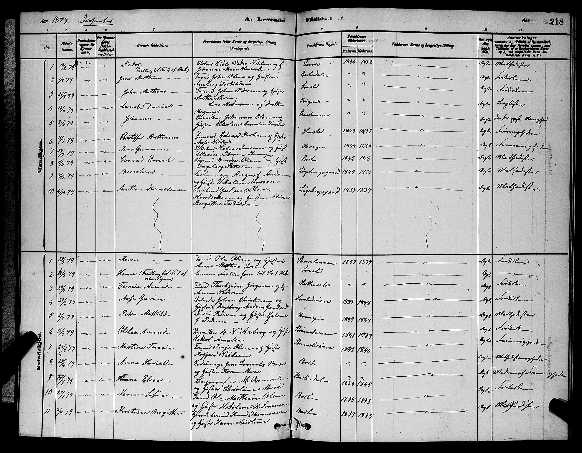 Barbu sokneprestkontor, AV/SAK-1111-0003/F/Fb/L0001: Parish register (copy) no. B 1, 1878-1890, p. 218